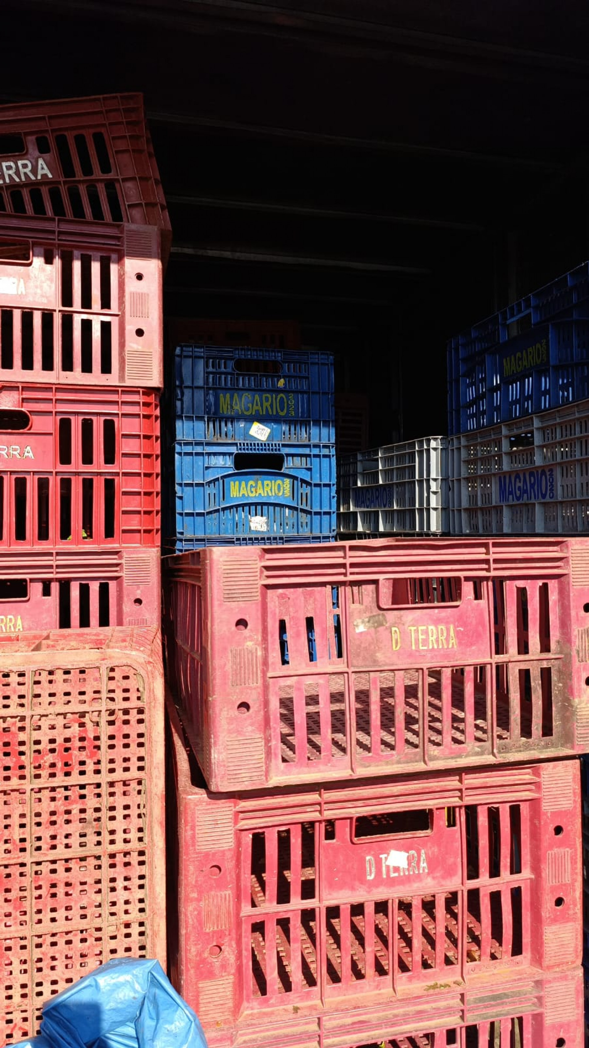 Os agentes encontraram 80 caixas