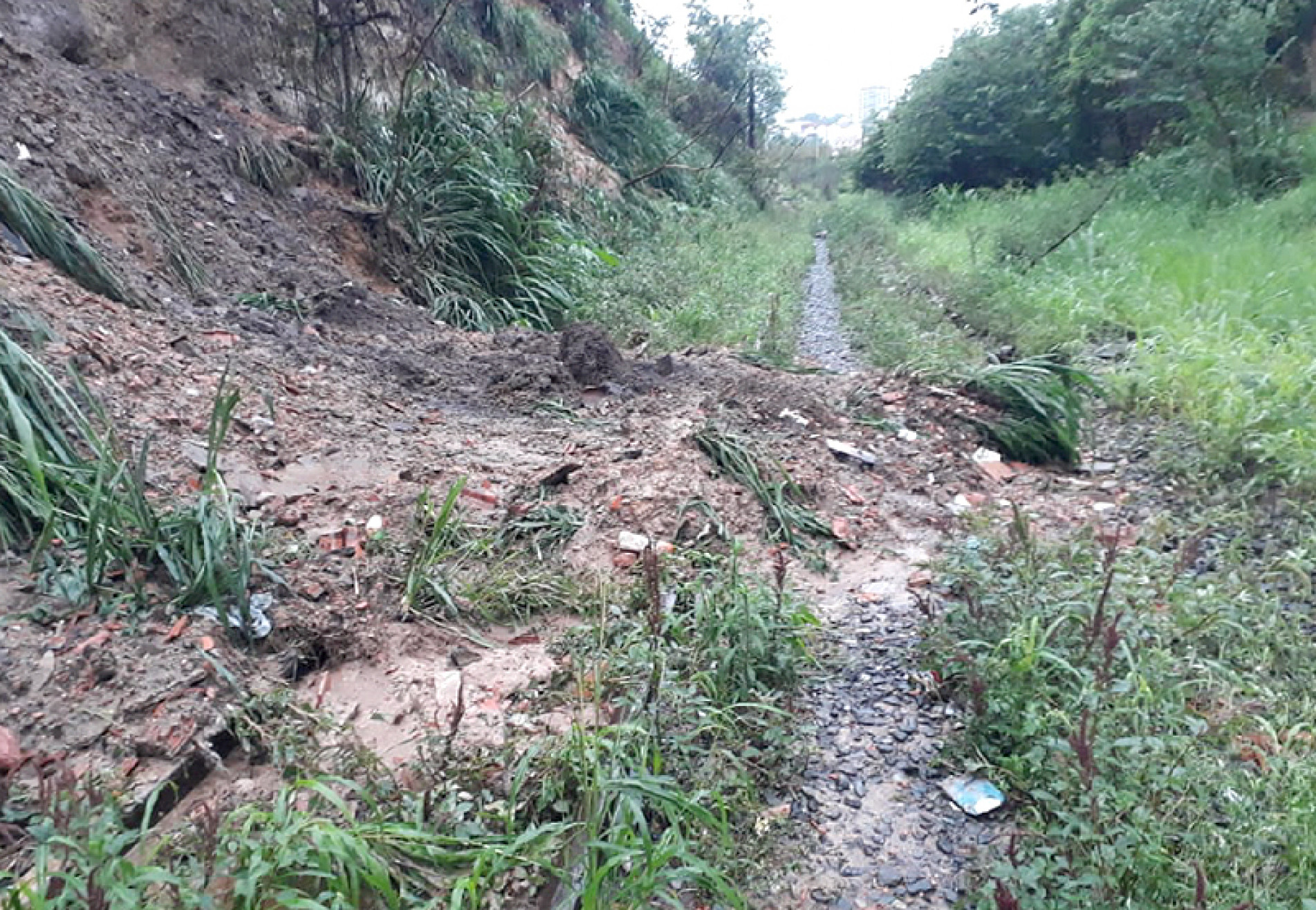 Concessionária responsável pela operação do trecho alega que está monitorando a área
