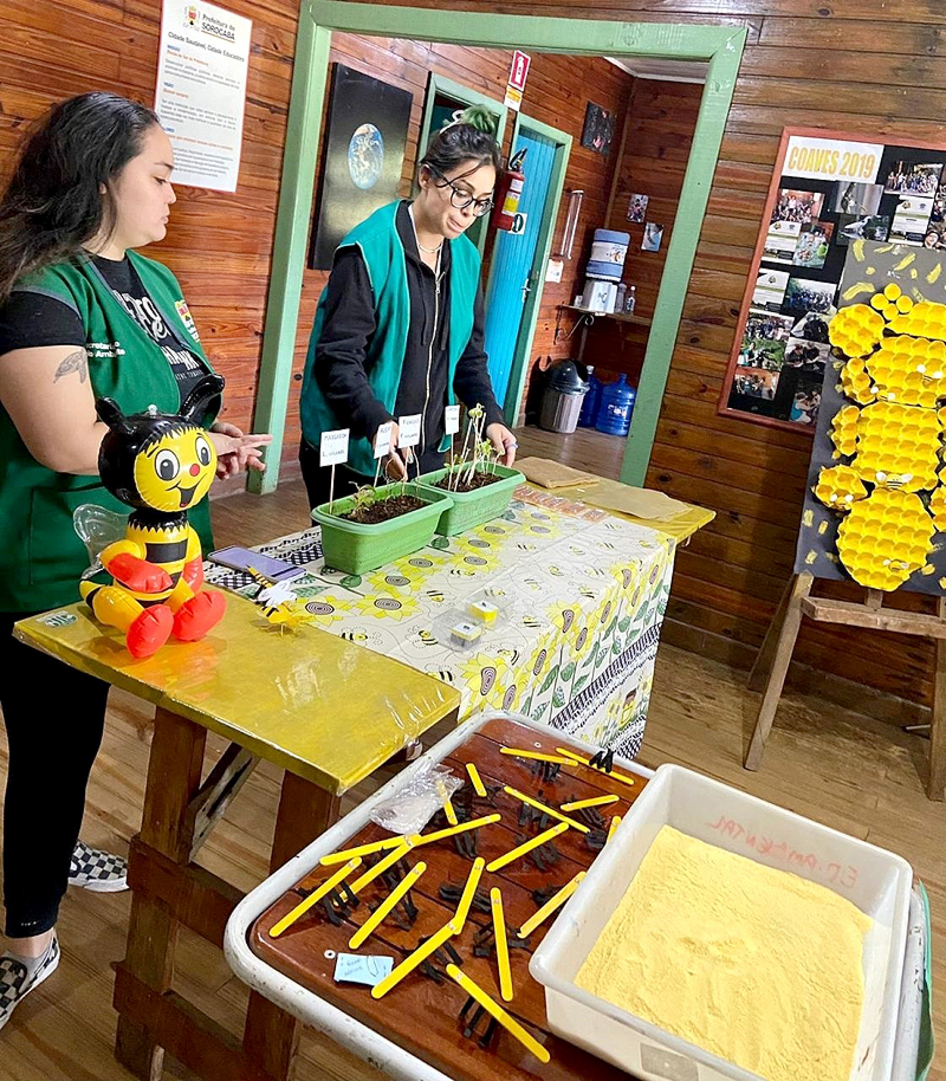 Parque da Biquinha oferece diversas atividades ambientais
