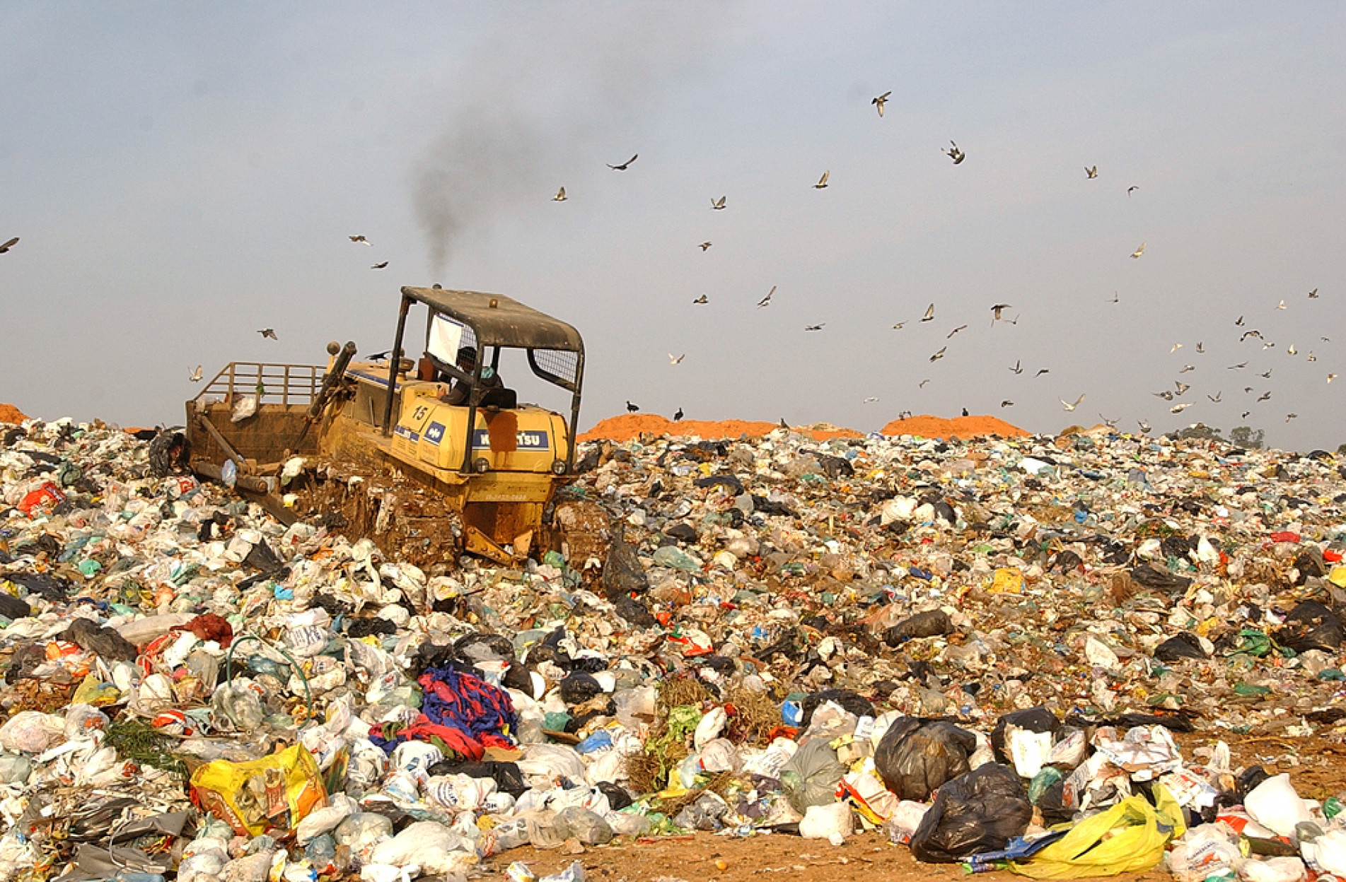 Modalidade é considerada 