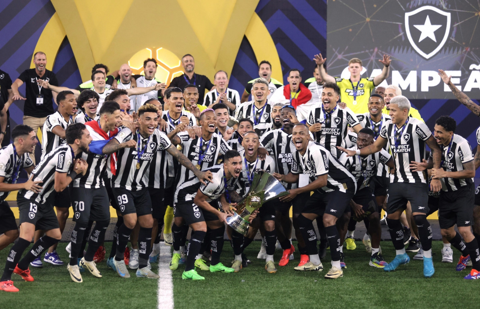 Botafogo é campeão do Brasileirão após 29 anos