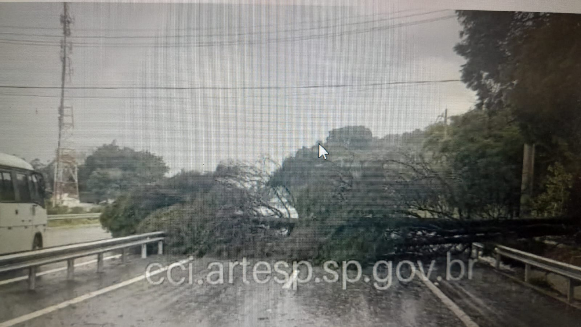 Uma árvore de grande porte caiu e interditou um trecho da Rodovia Raposo Tavares (SP-270)