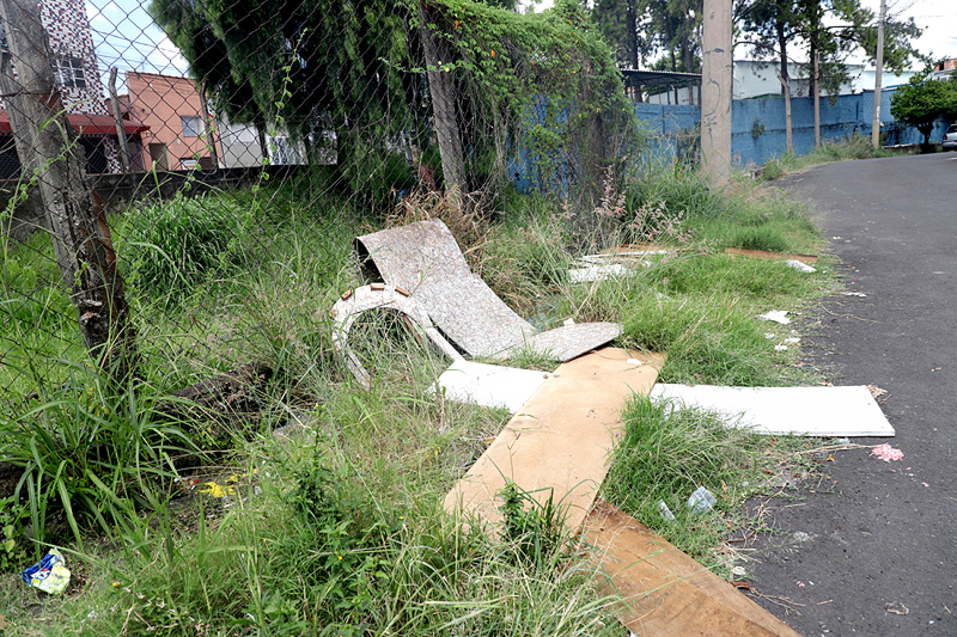 Prefeitura registrou 11 casos de escorpiões neste ano; não há mortes