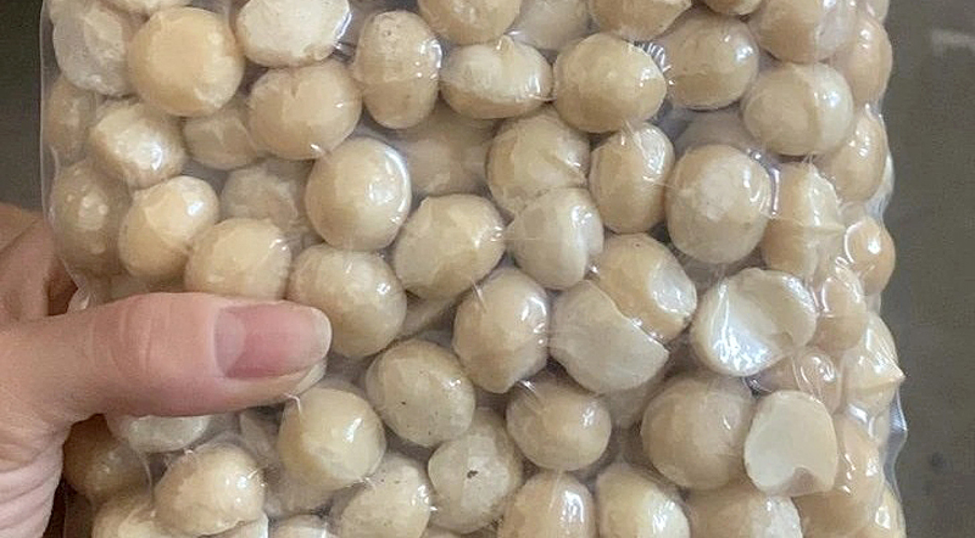 Macadâmia, um tipo de noz, irá para os Estados Unidos