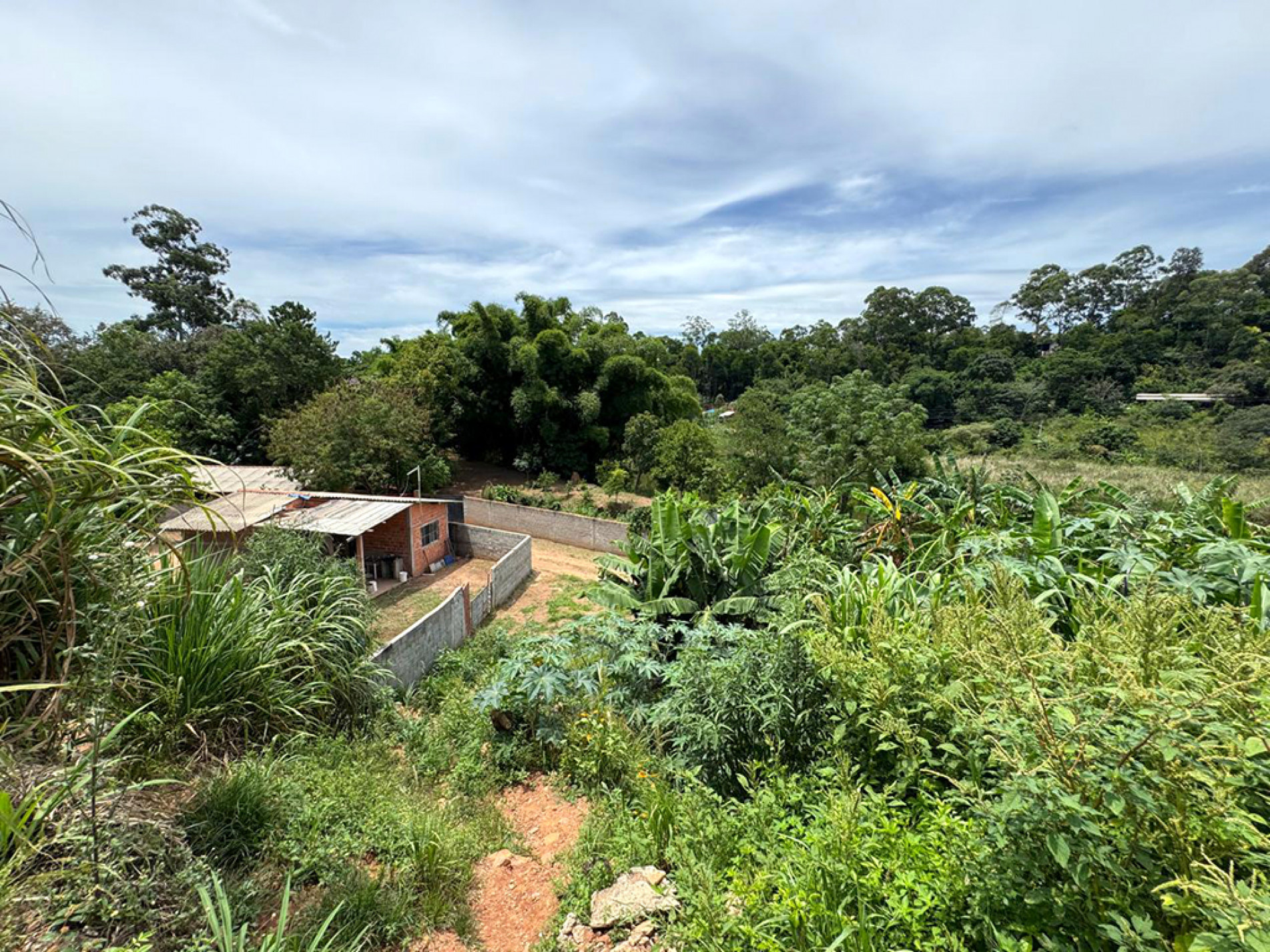 Comunidade espera há anos pelo serviço de energia elétrica
