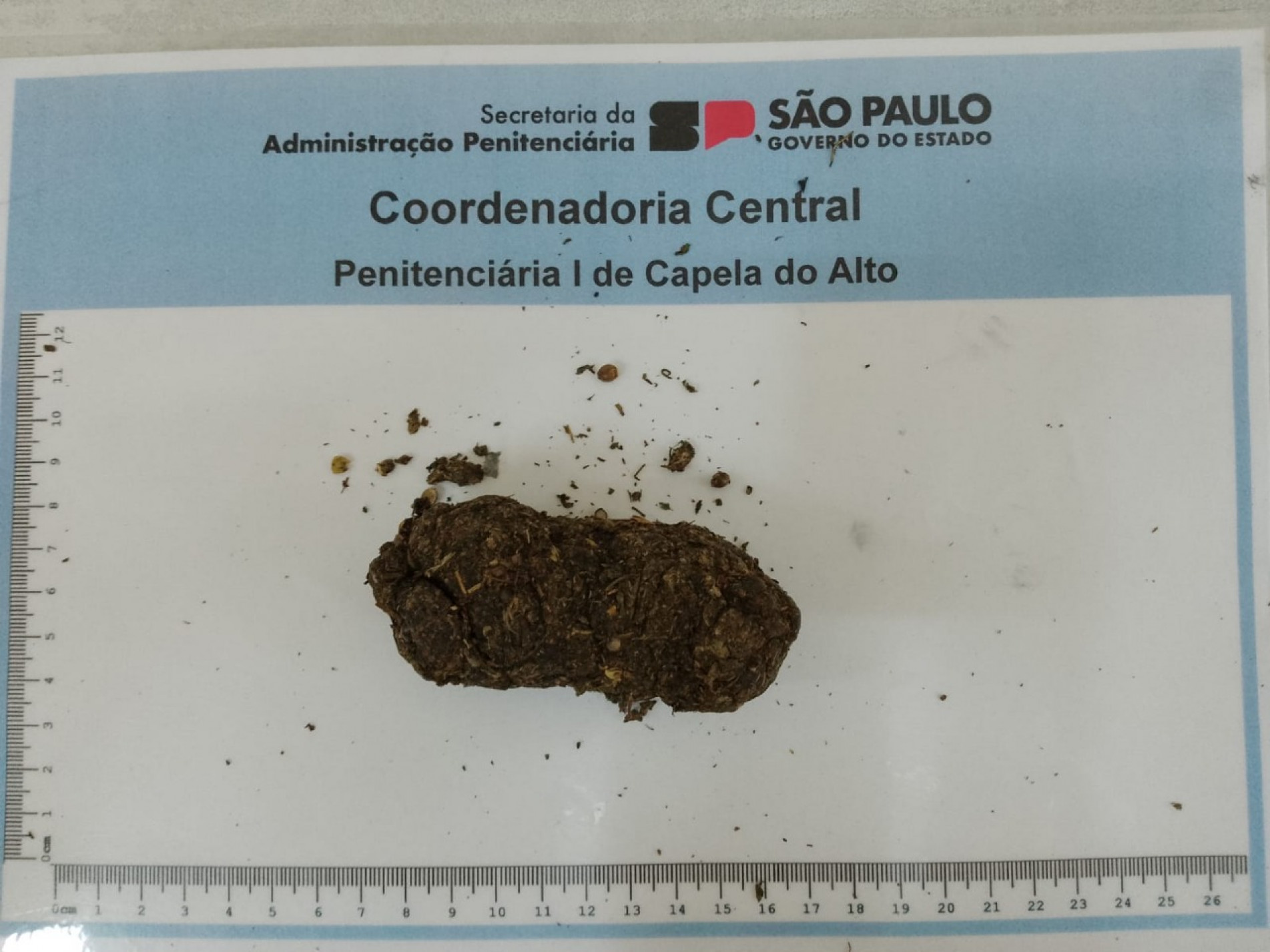 A mulher visitaria um dos detentos da unidade