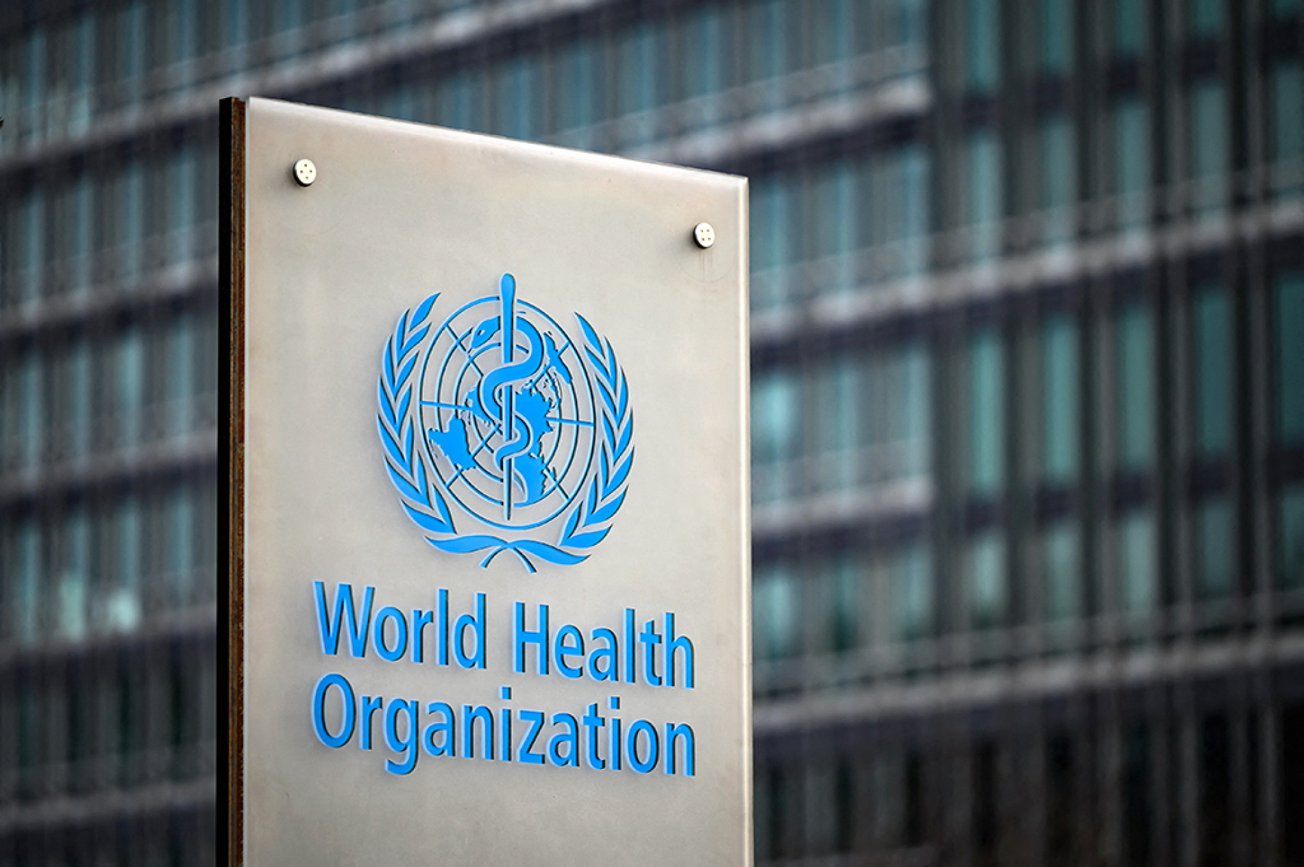 Javier Milei retirou o país da Organização Mundial da Saúde (OMS)
