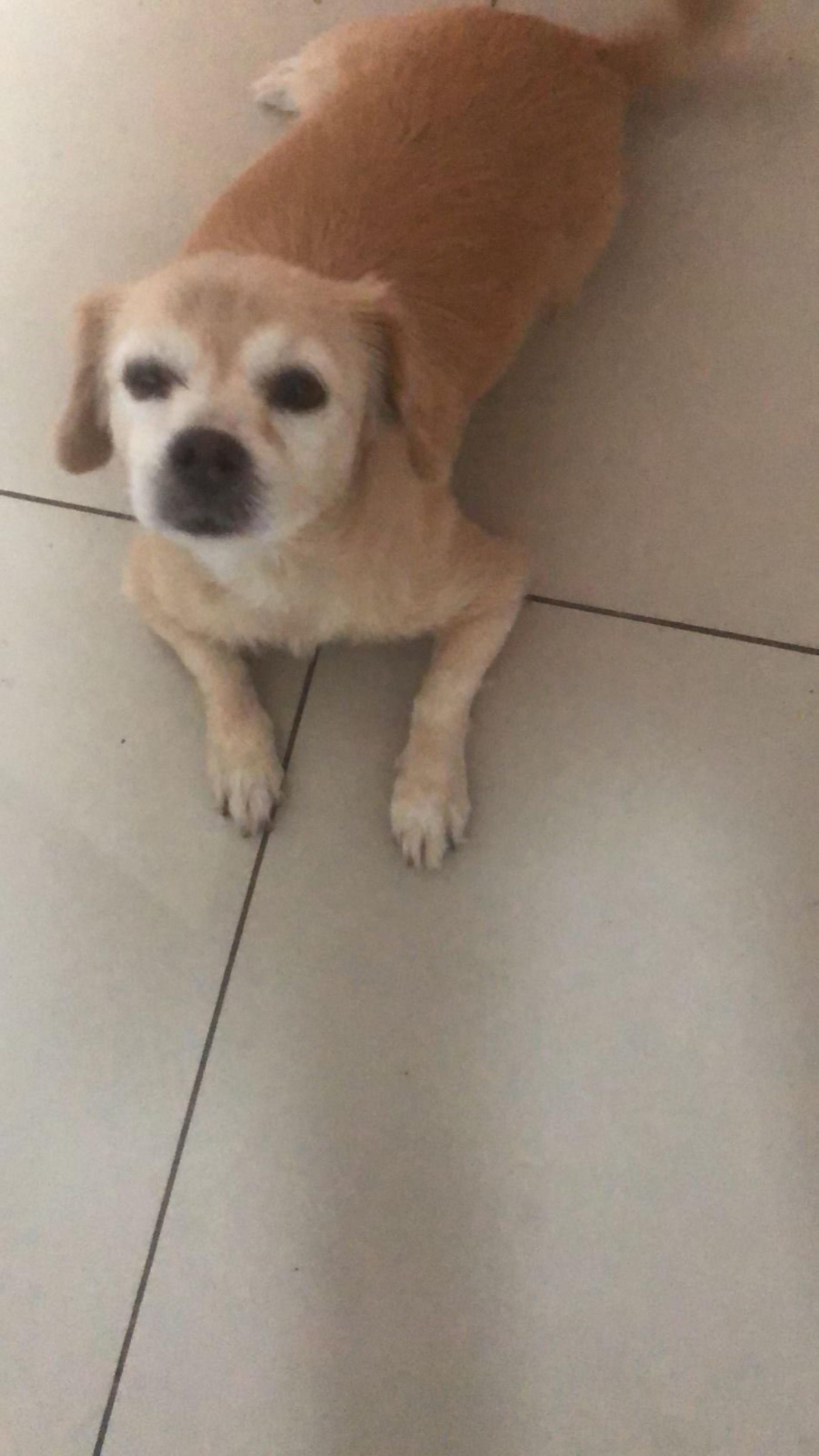 Antônia aguarda cirurgia enquanto os moradores do bairro tentam localizar o motorista