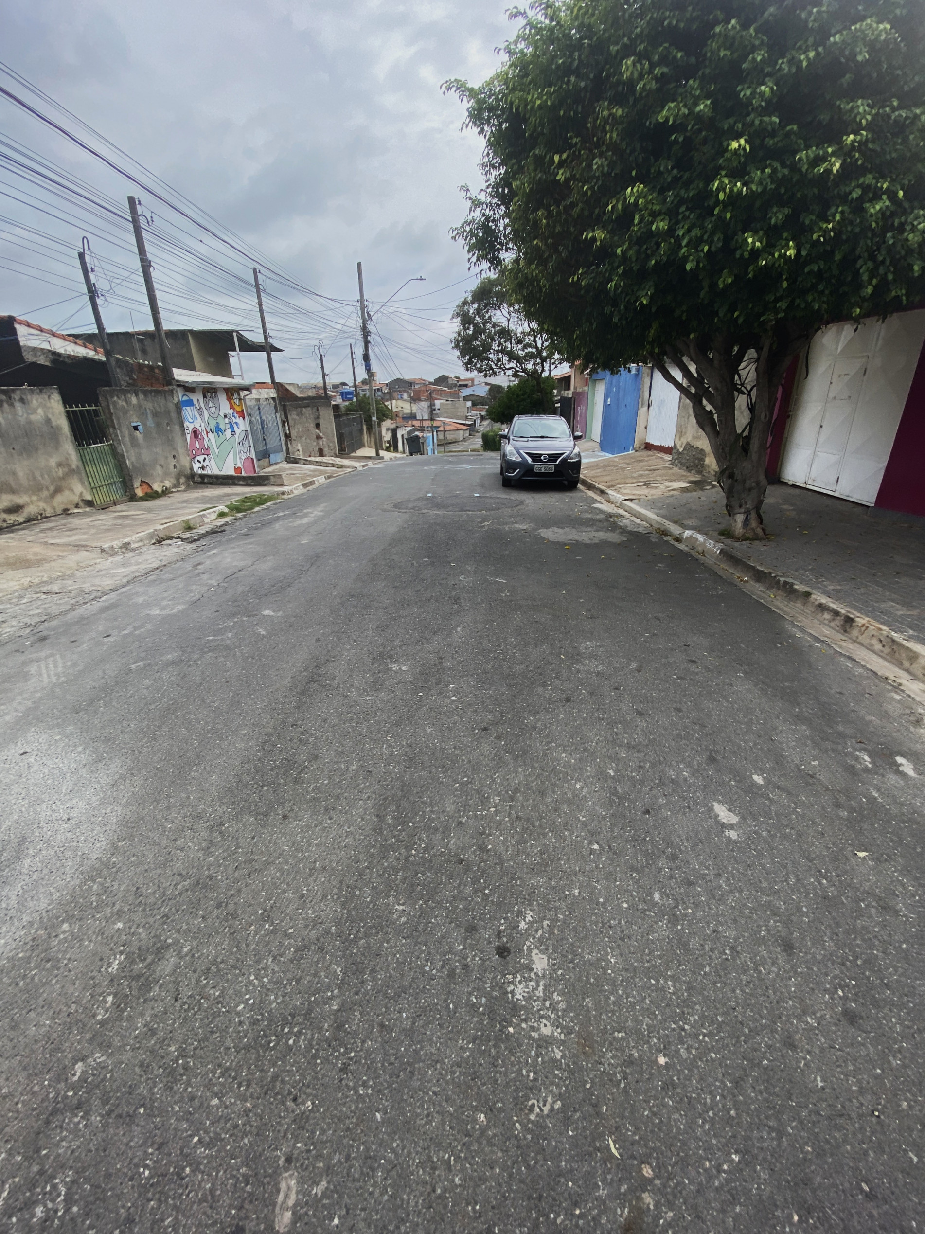 Na residência da vítima, viviam três cachorros da mesma raça