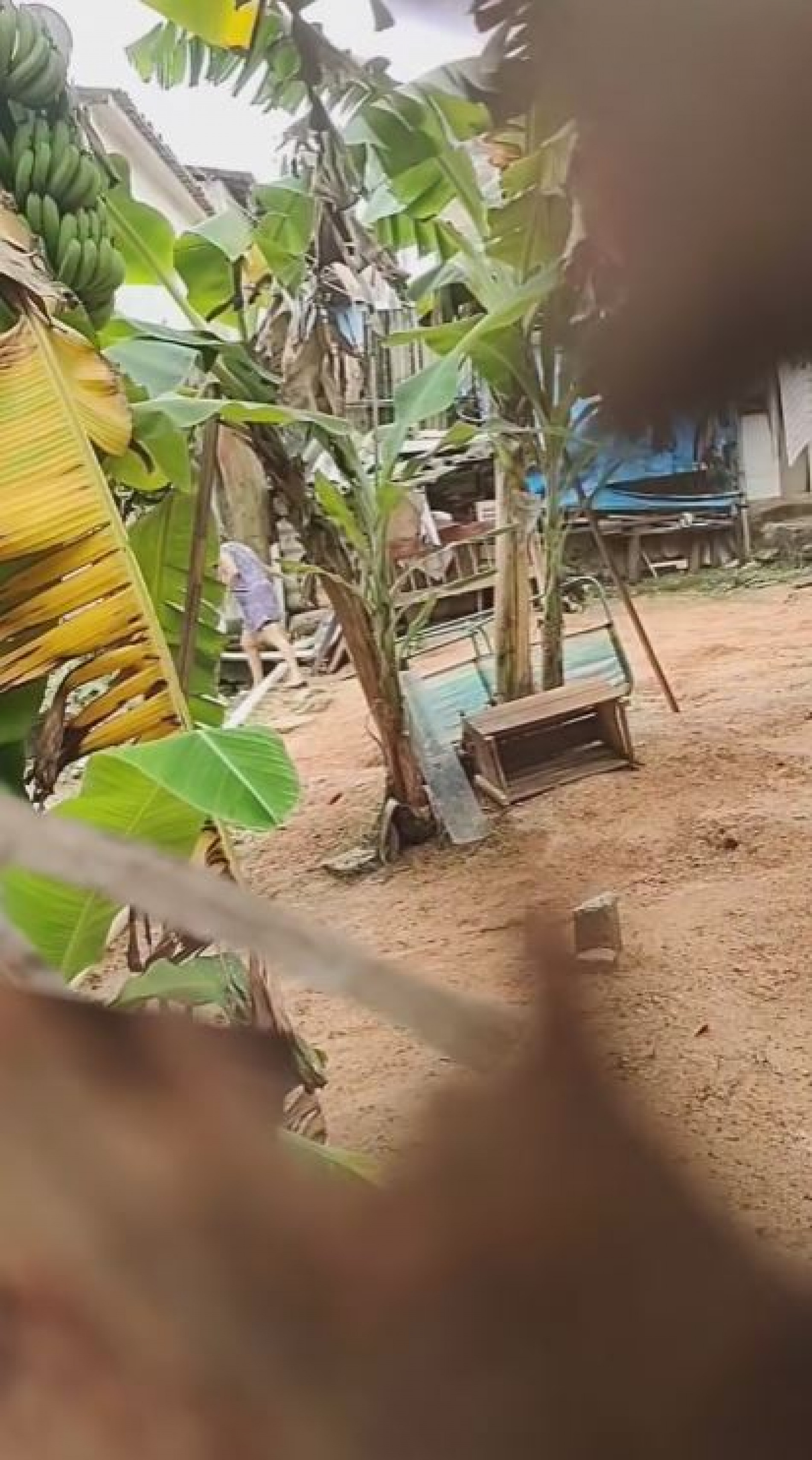 Um vizinho flagou as ações e denunciou para a prefeitura