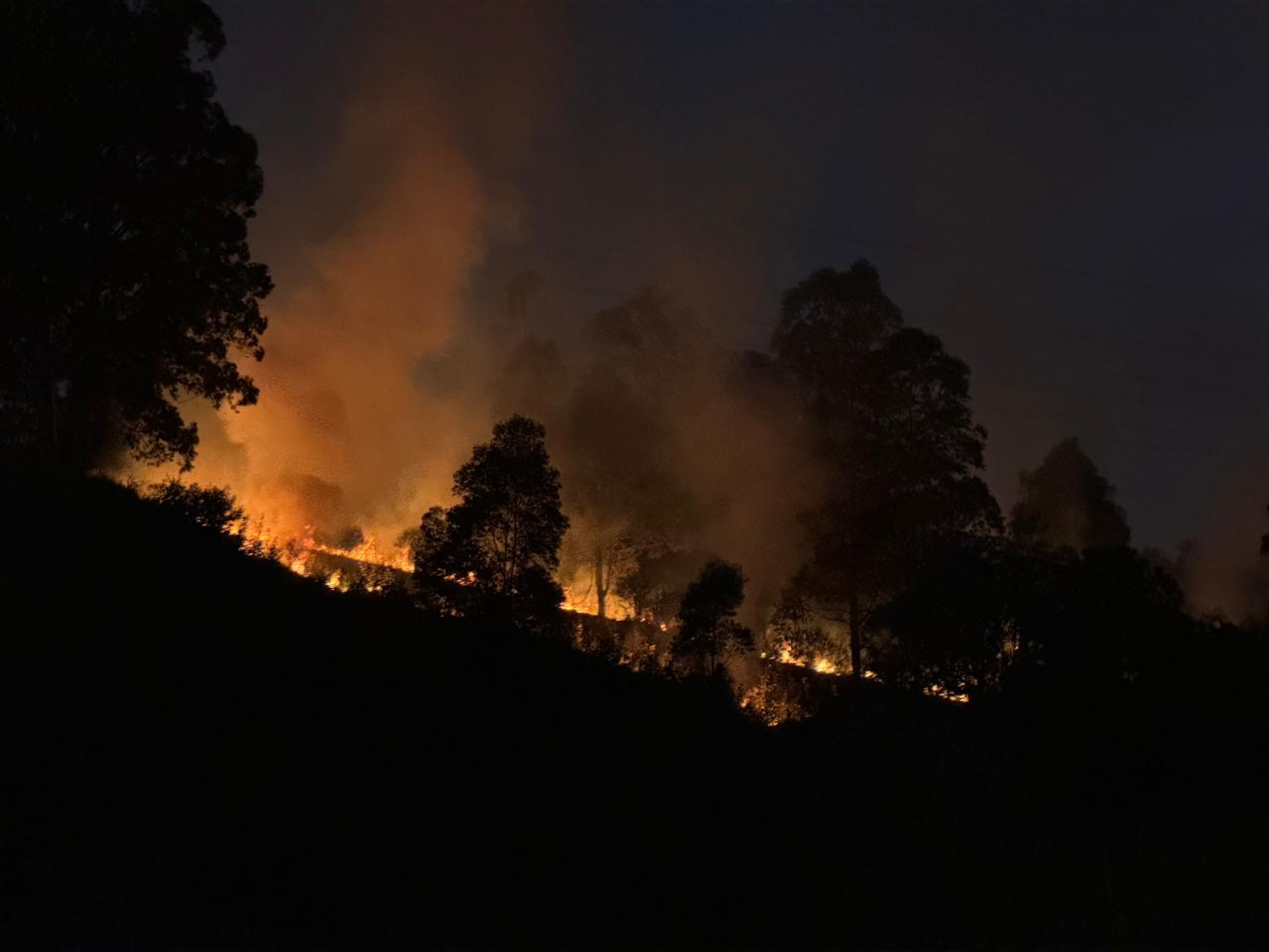 Inc&ecirc;ndio atinge canteiro lateral da rodovia Raposo Tavares (SP-270), no km 84.