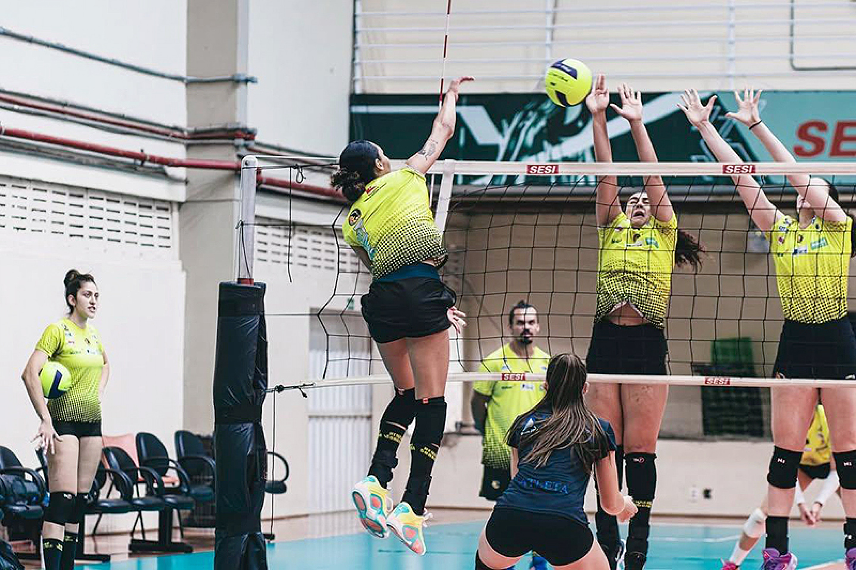 Treinos têm reforçado a organização do sistema de jogo
