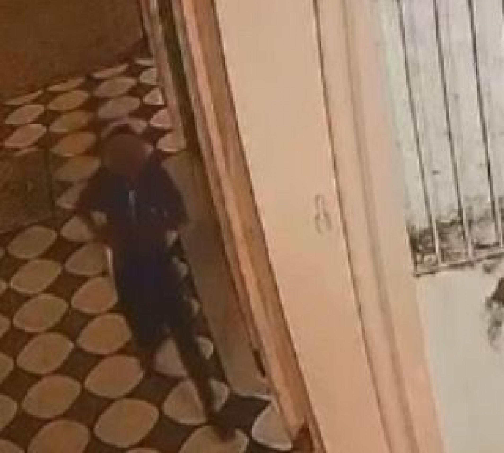 Segundo a Polícia, os dois envolvidos aparentavam estar em situação de rua