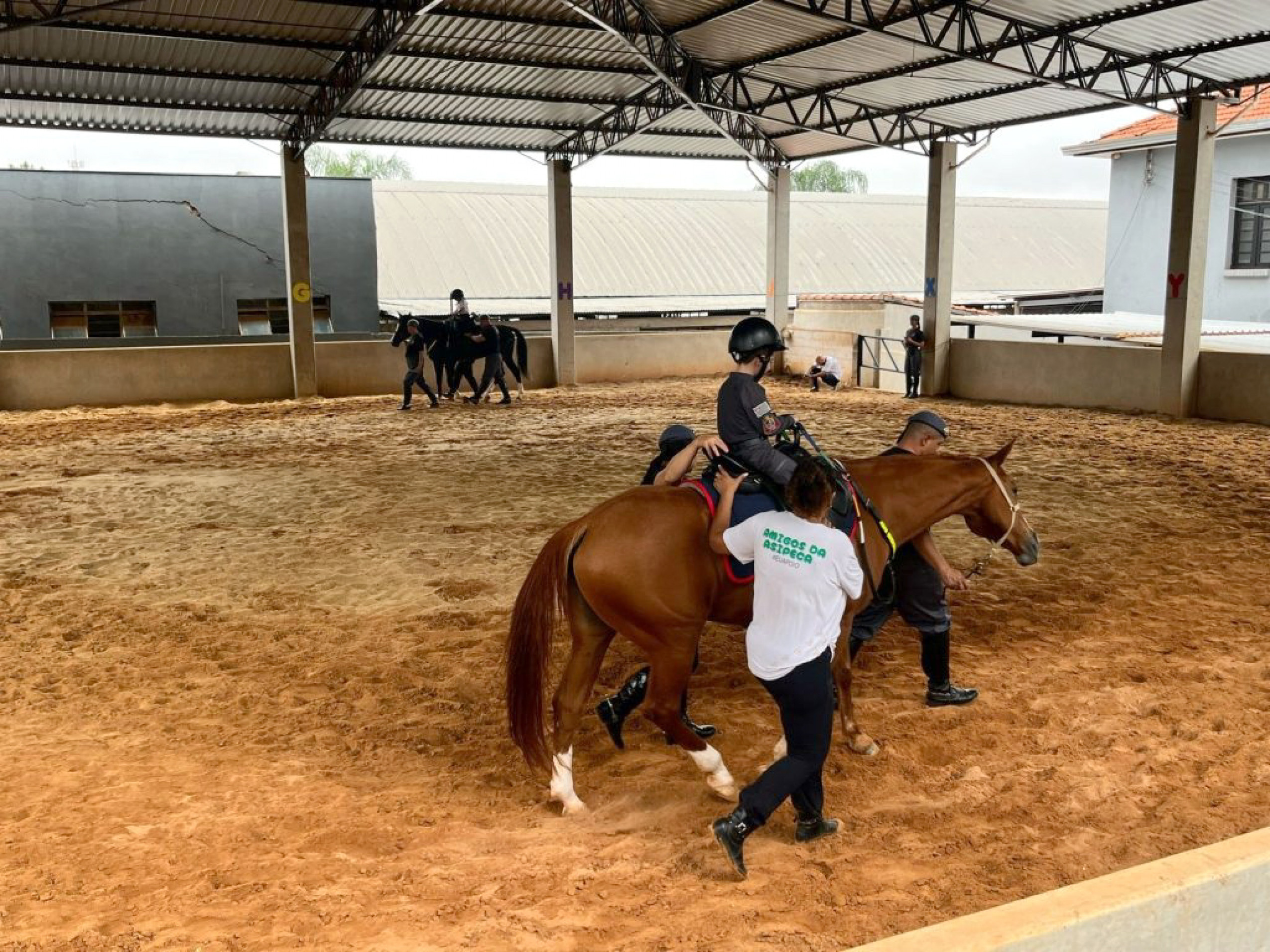 A equoterapia contribui para o desenvolvimento e proporciona momentos de alegria