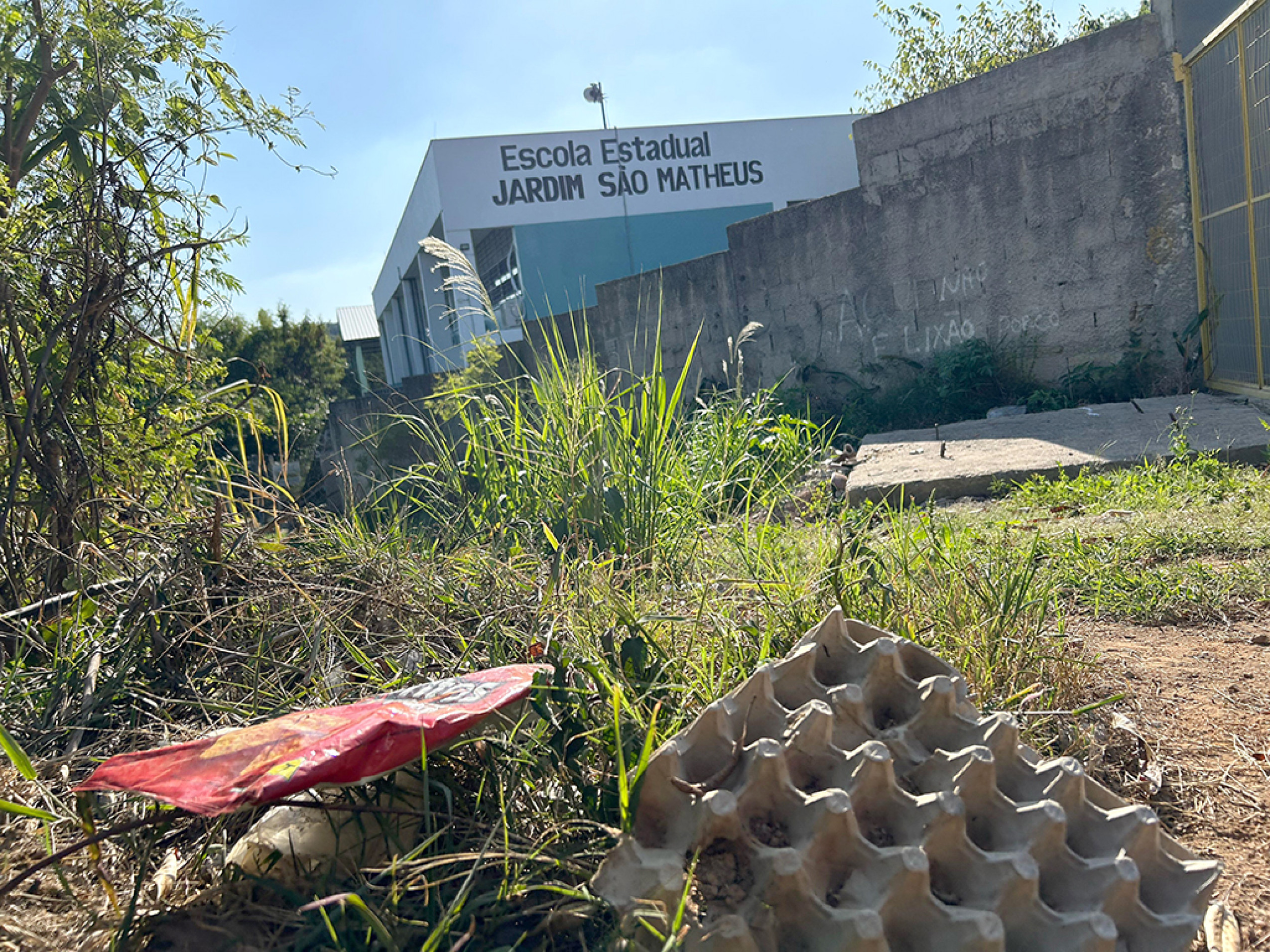 Área verde no Jardim São Matheus acumula lixo e mato
