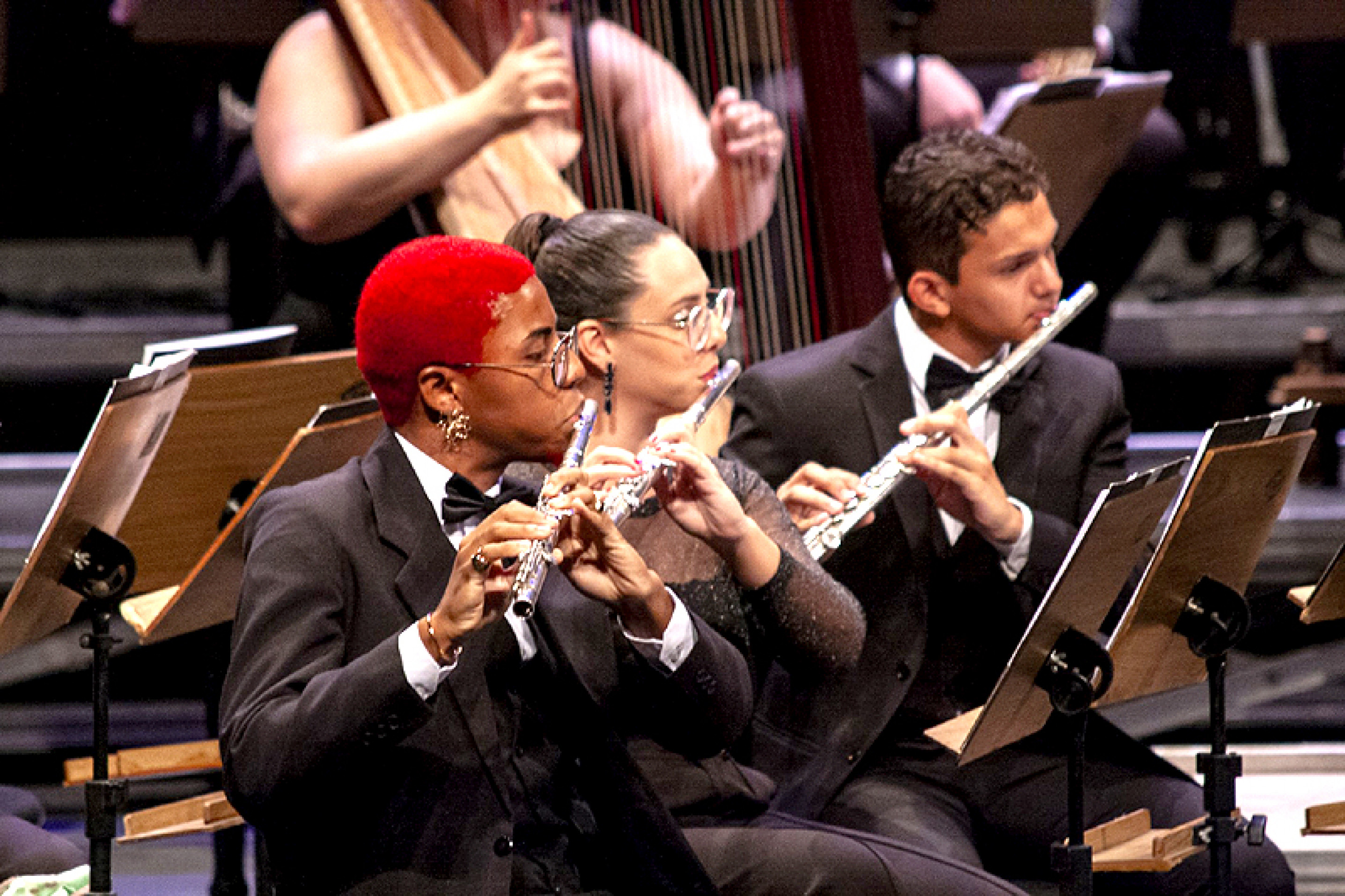 Cursos abrangem música erudita, música popular e artes cênicas
