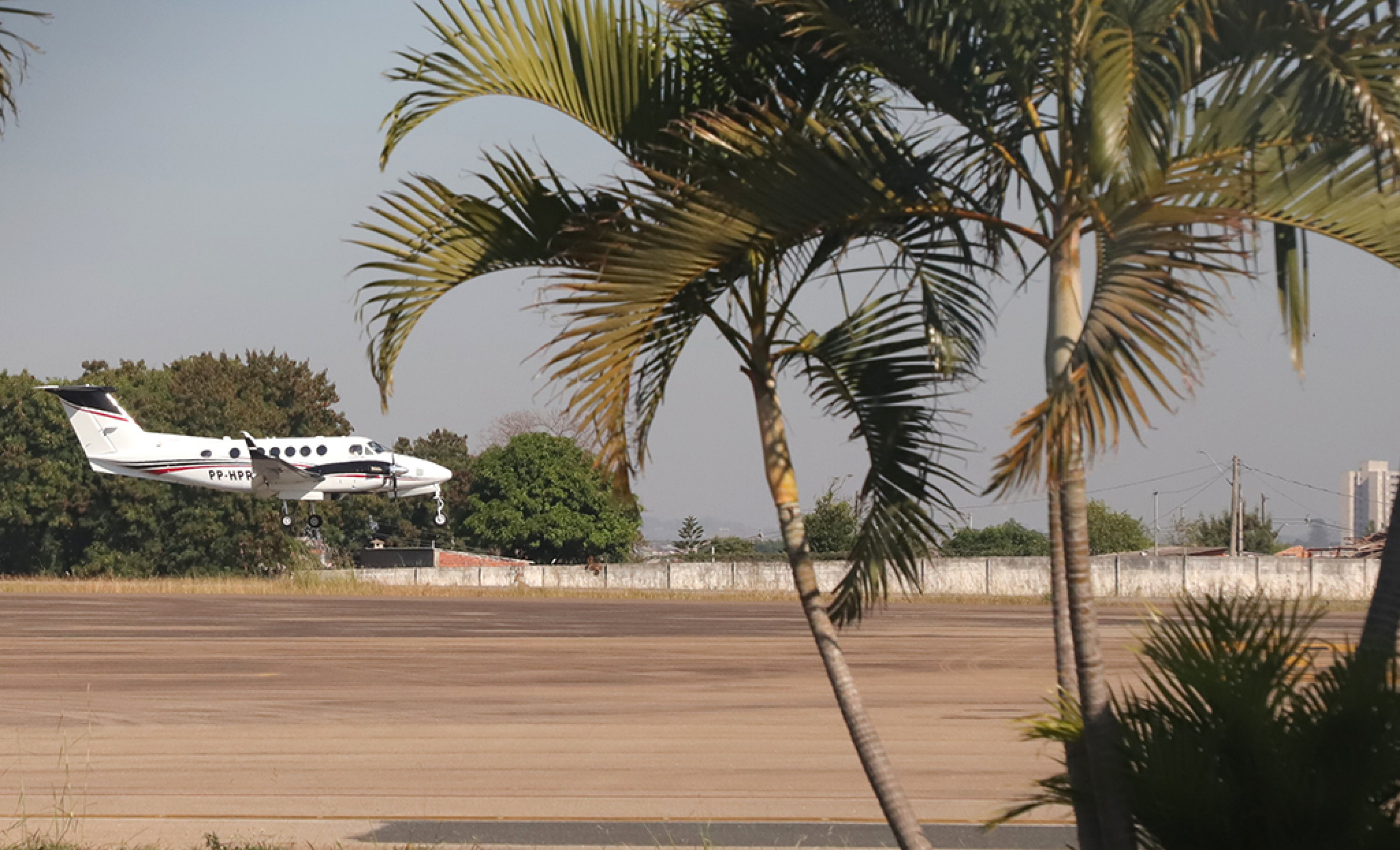 Perda econômica e perigo de prejuízo aos clientes preocupam profissionais da área
