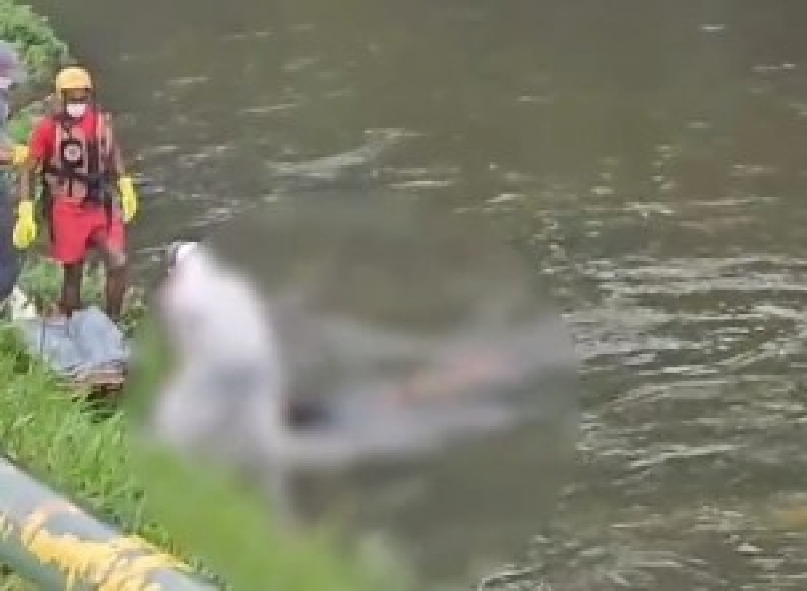 O caso foi registrado como encontro de cadáver e está sob investigação. A vítima ainda não foi identificada