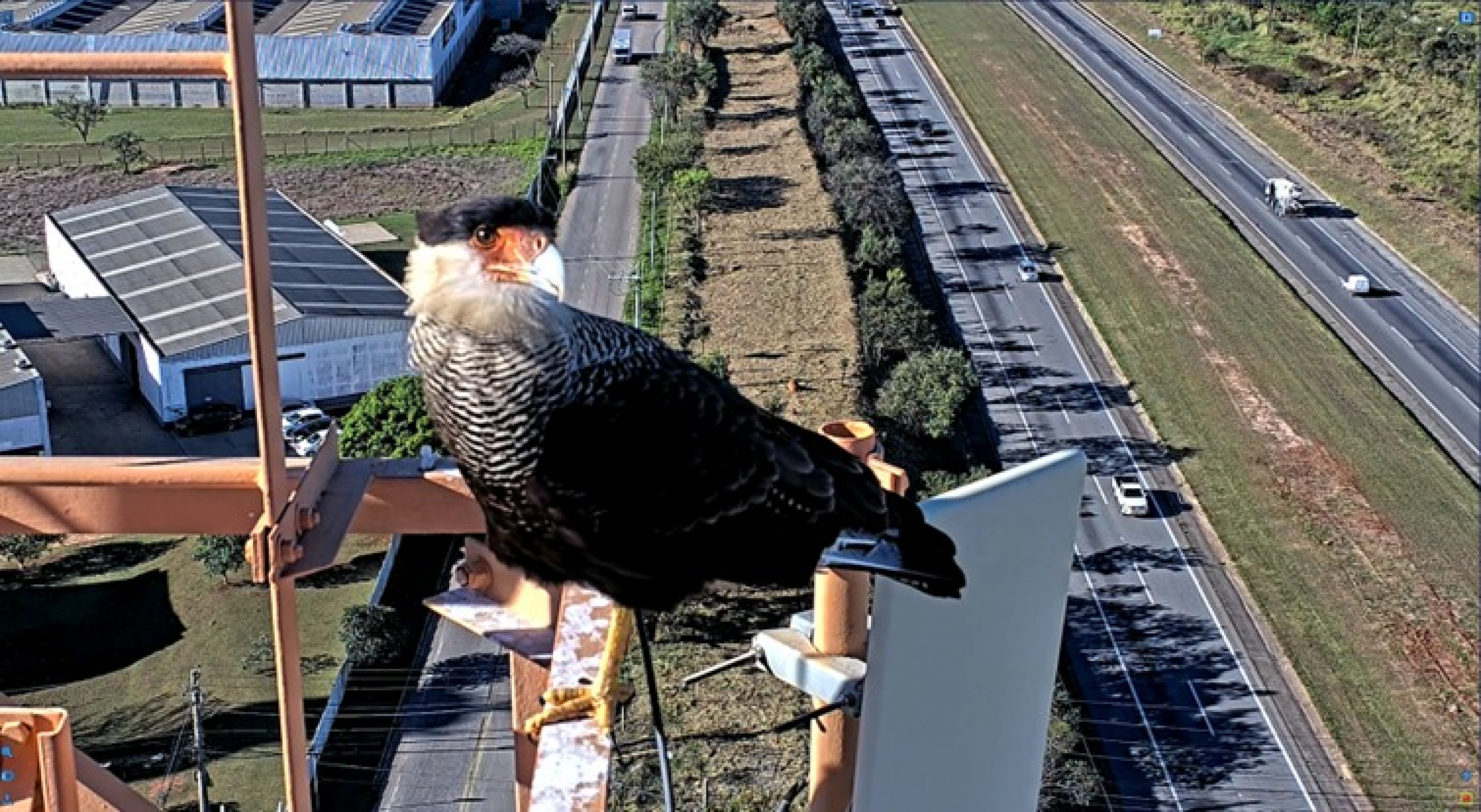 O registro aconteceu por volta das 15h30