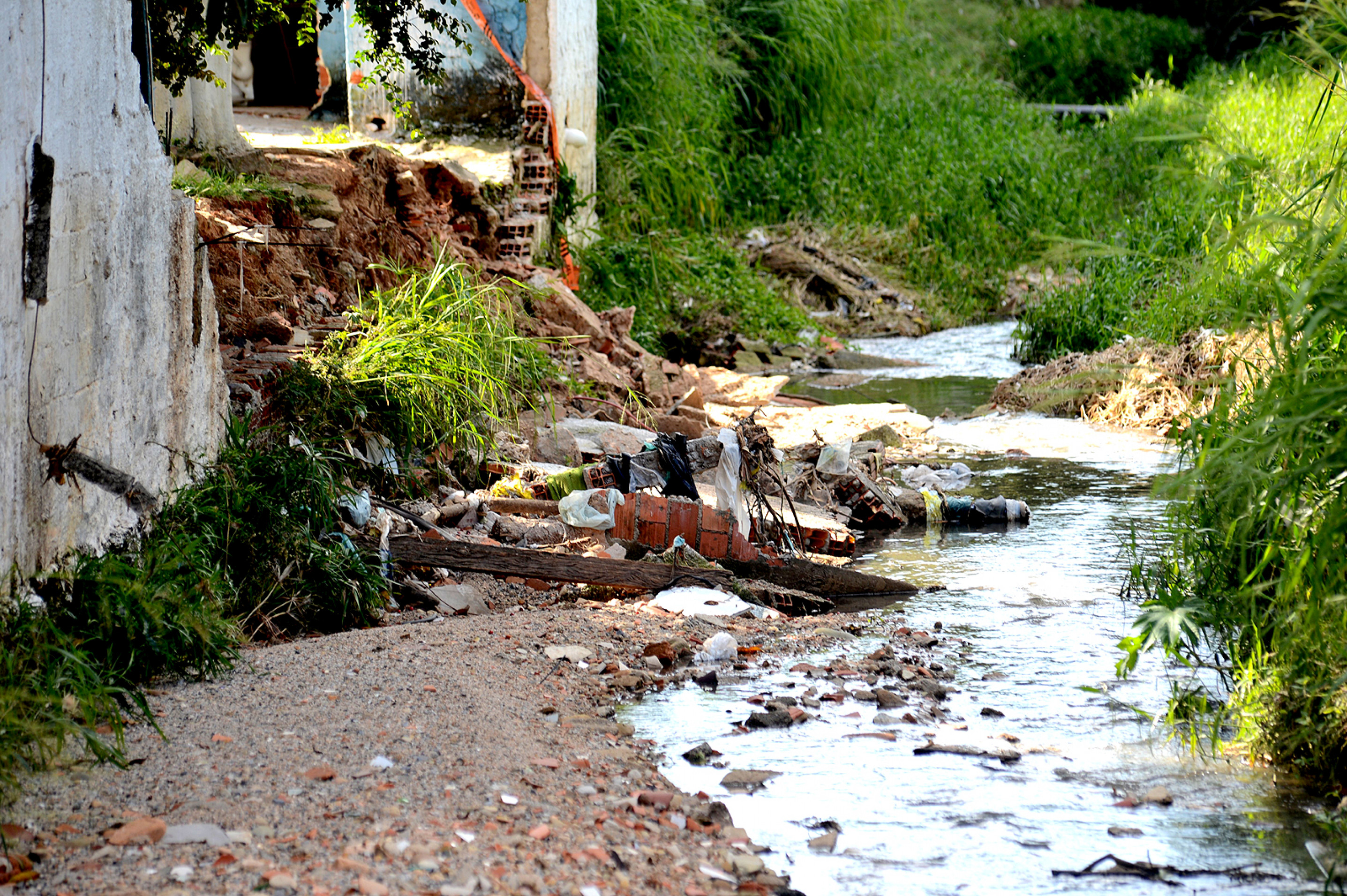 Proposta prevê a revitalização de nascentes e córregos
