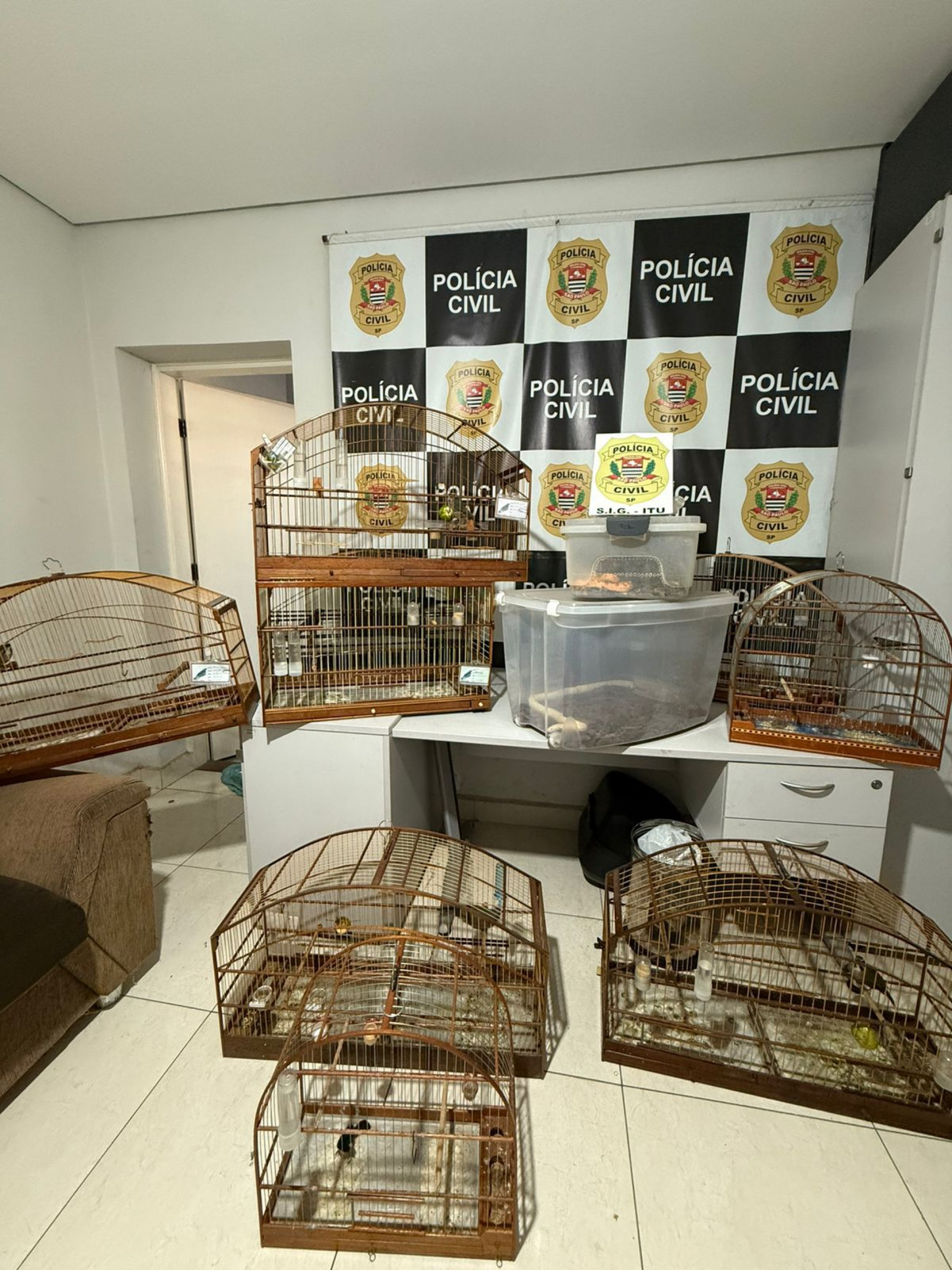 Os animais localizados foram encaminhados ao Centro de Reabilitação Núcleo da Floresta