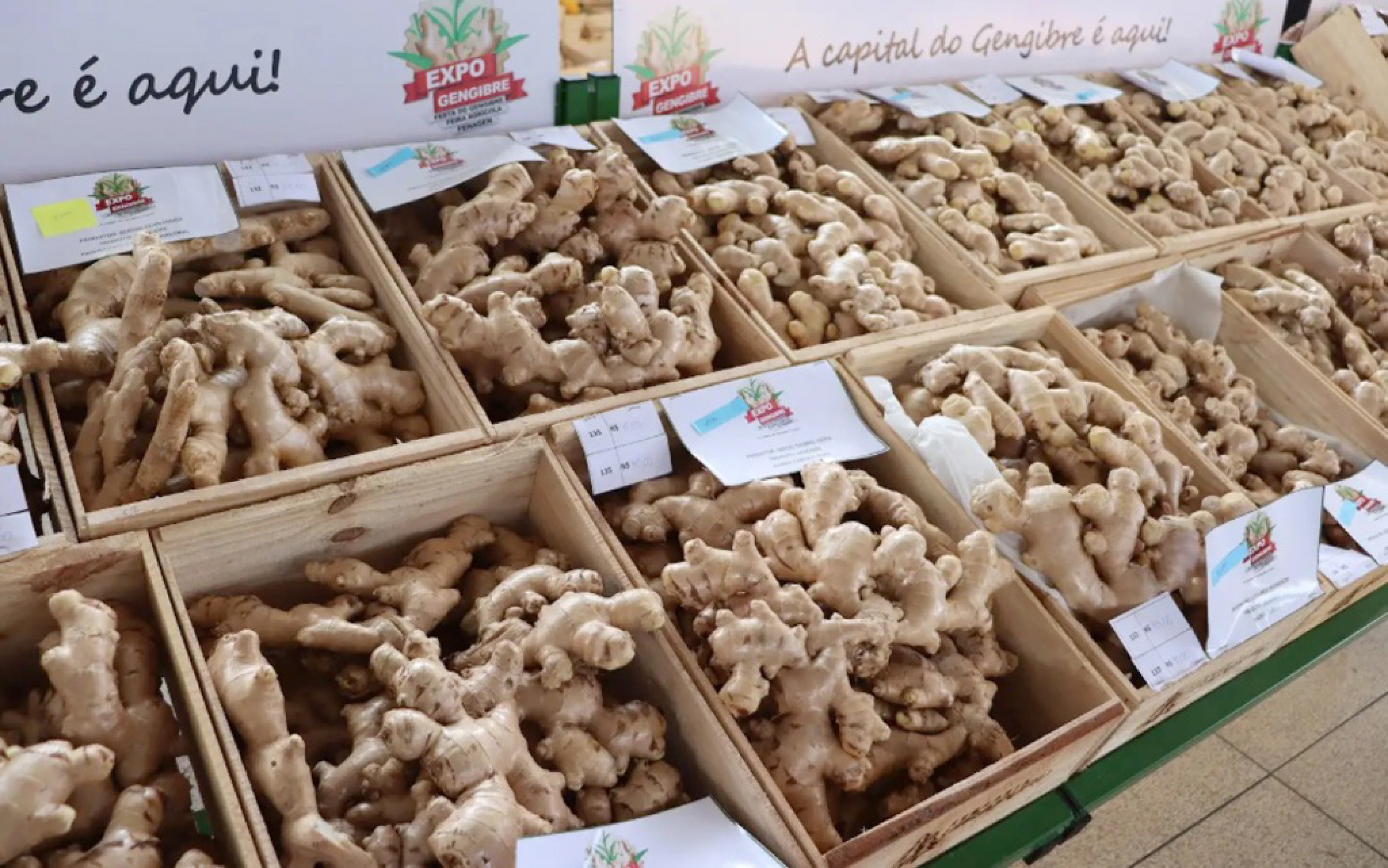 Gengibre estará presente em toda a gastronomia oferecida na festividade 
