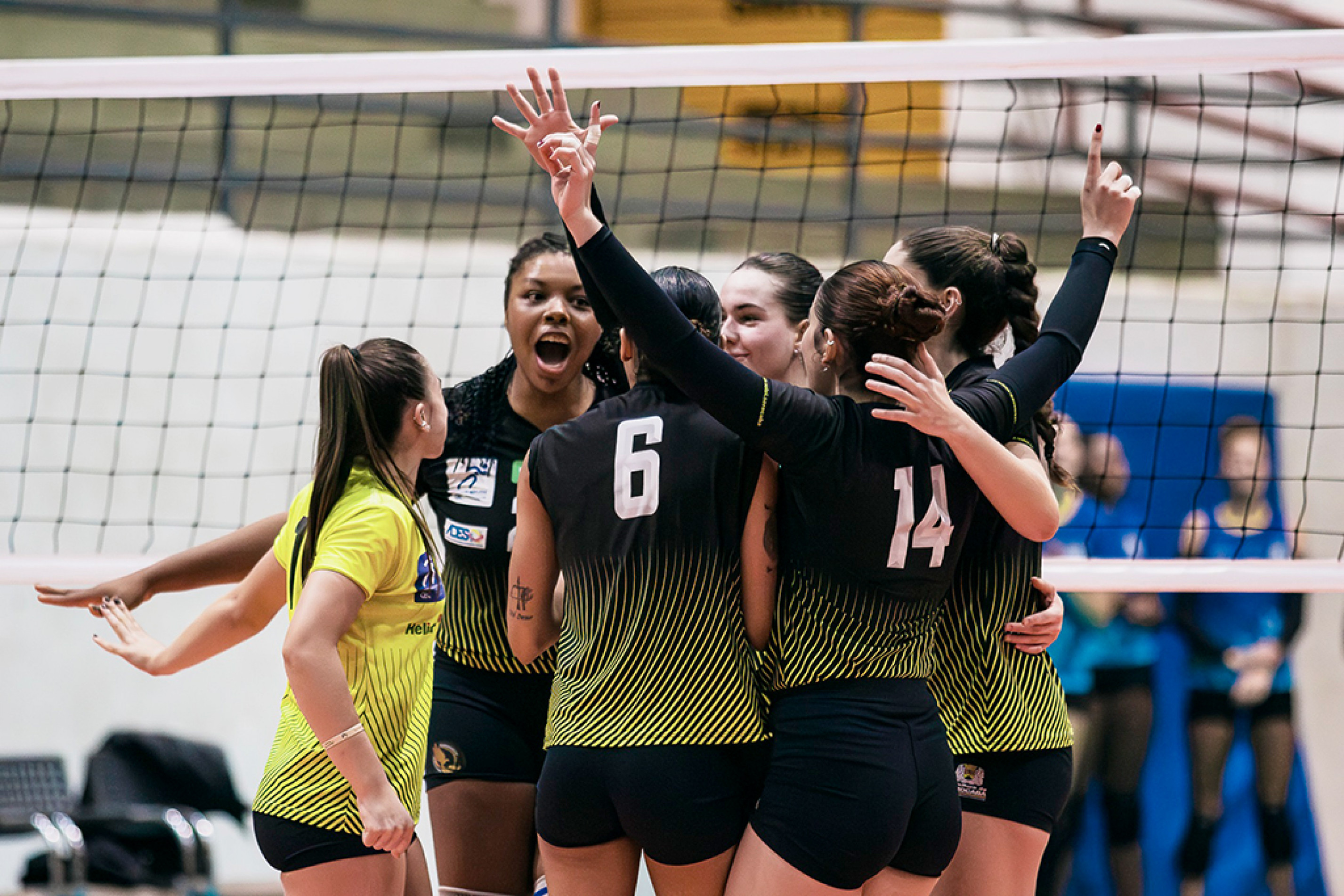 Jogadoras do time sub-21 estarão em quadra pela manhã e no período da tarde
