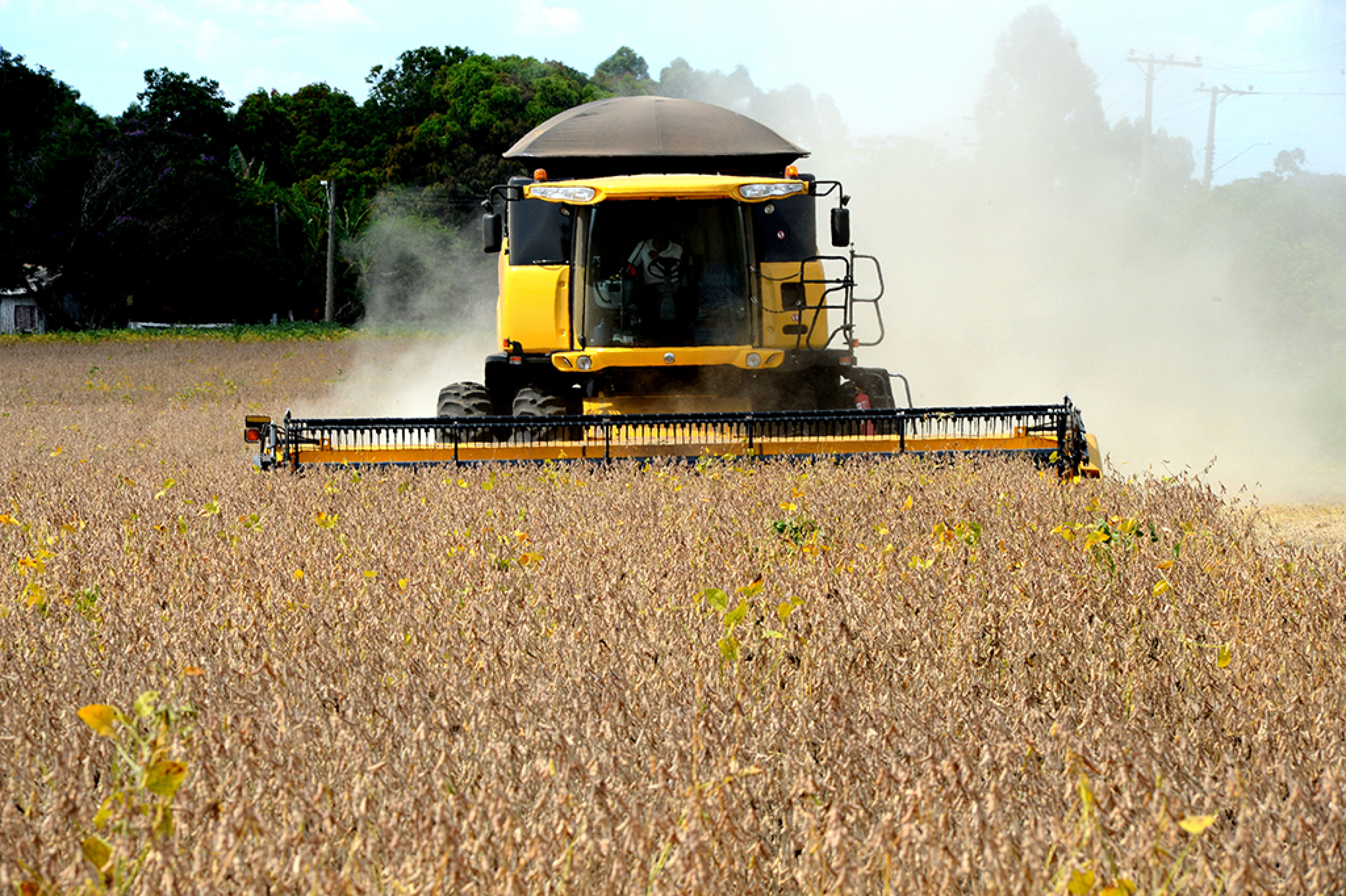 Financiamento agrícola deverá ter juros de 8,5% a 14% ao ano
