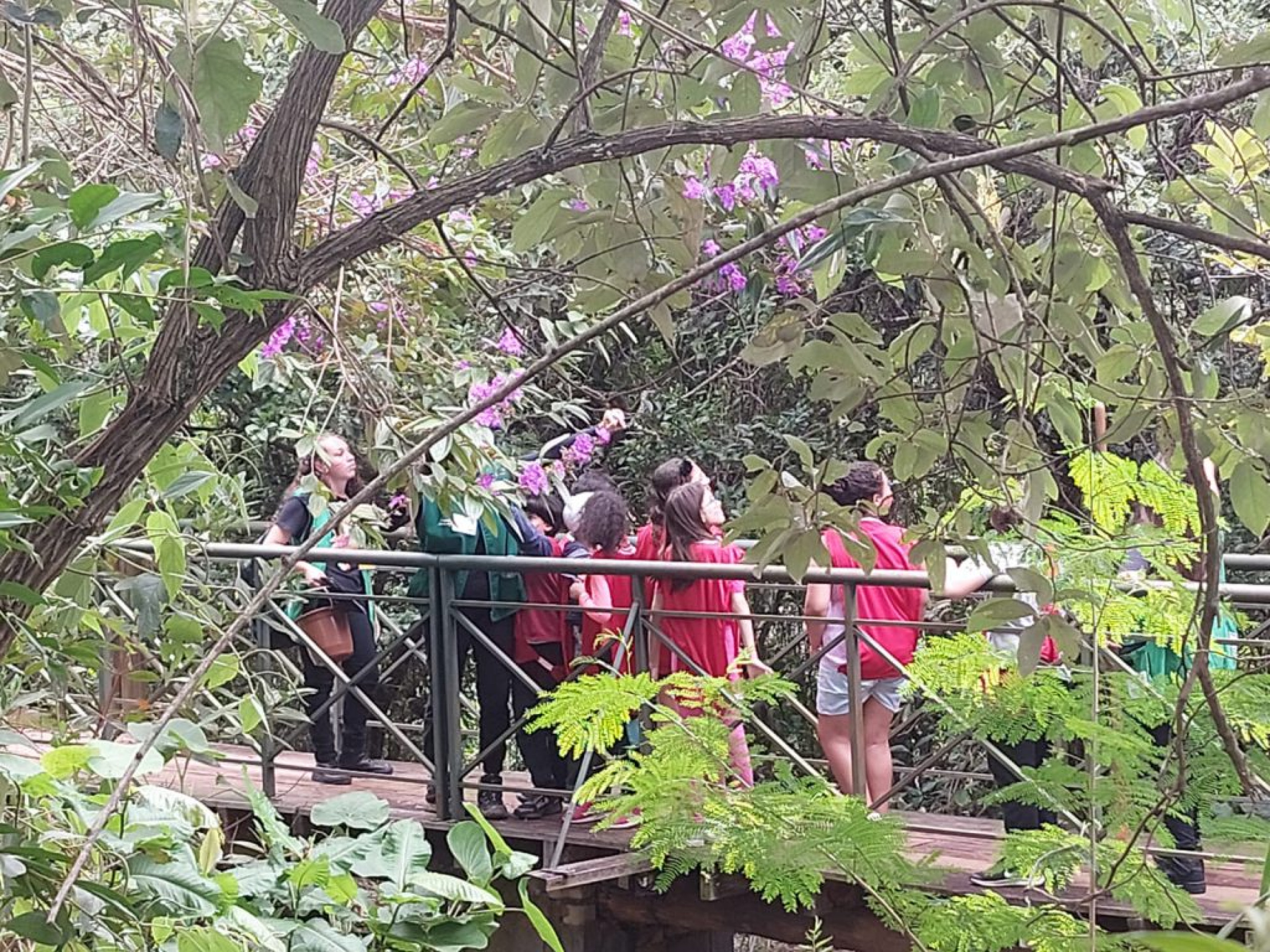 A Prefeitura de Sorocaba realizará, de 15 a 18 de julho, das 9h às 12h, o curso de férias 