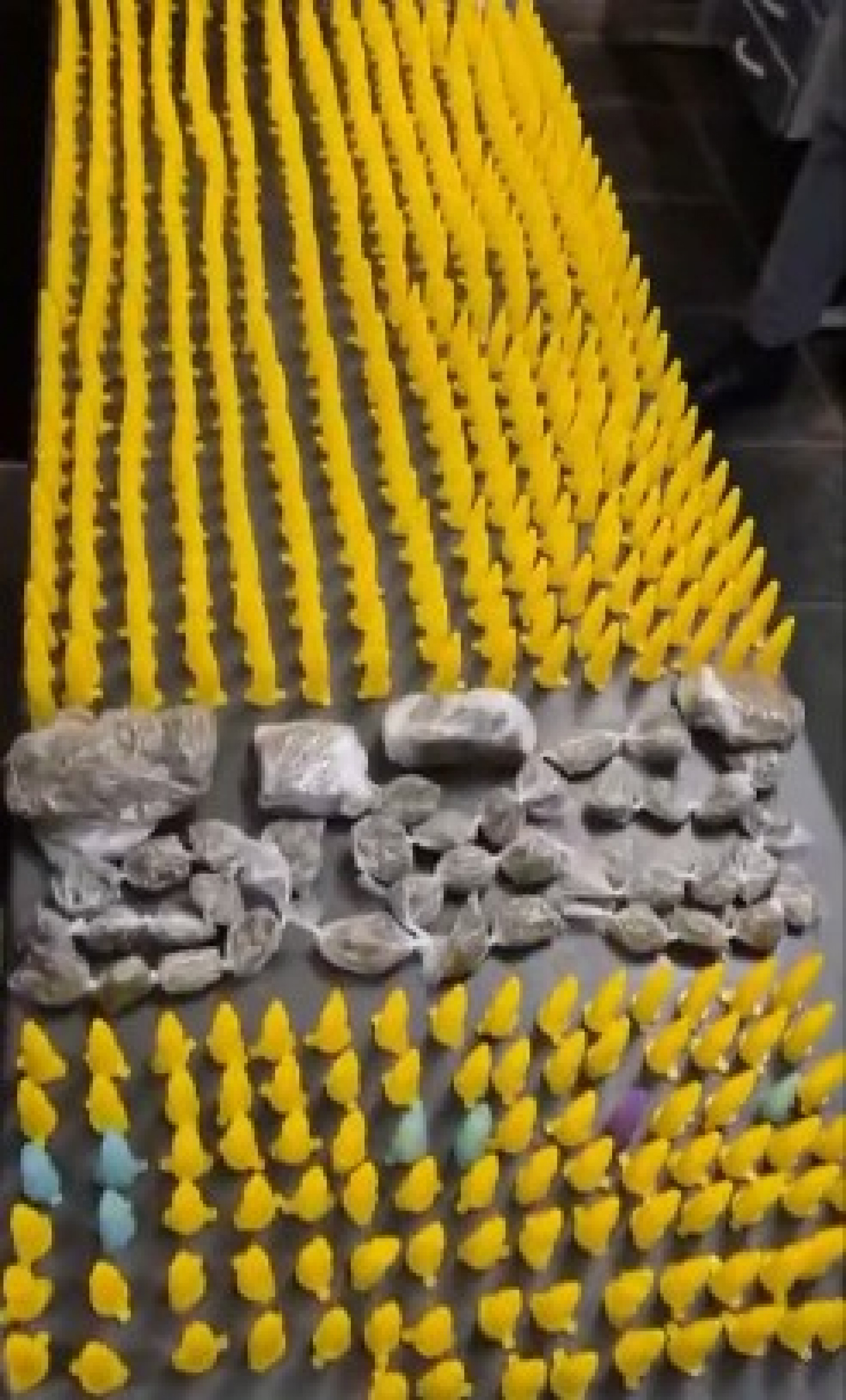 Durante a tarde desta ter&ccedil;a-feira (2), policiais da For&ccedil;a T&aacute;tica prenderam o suspeito, de 28 anos, no bairro Tabo&atilde;ozinho