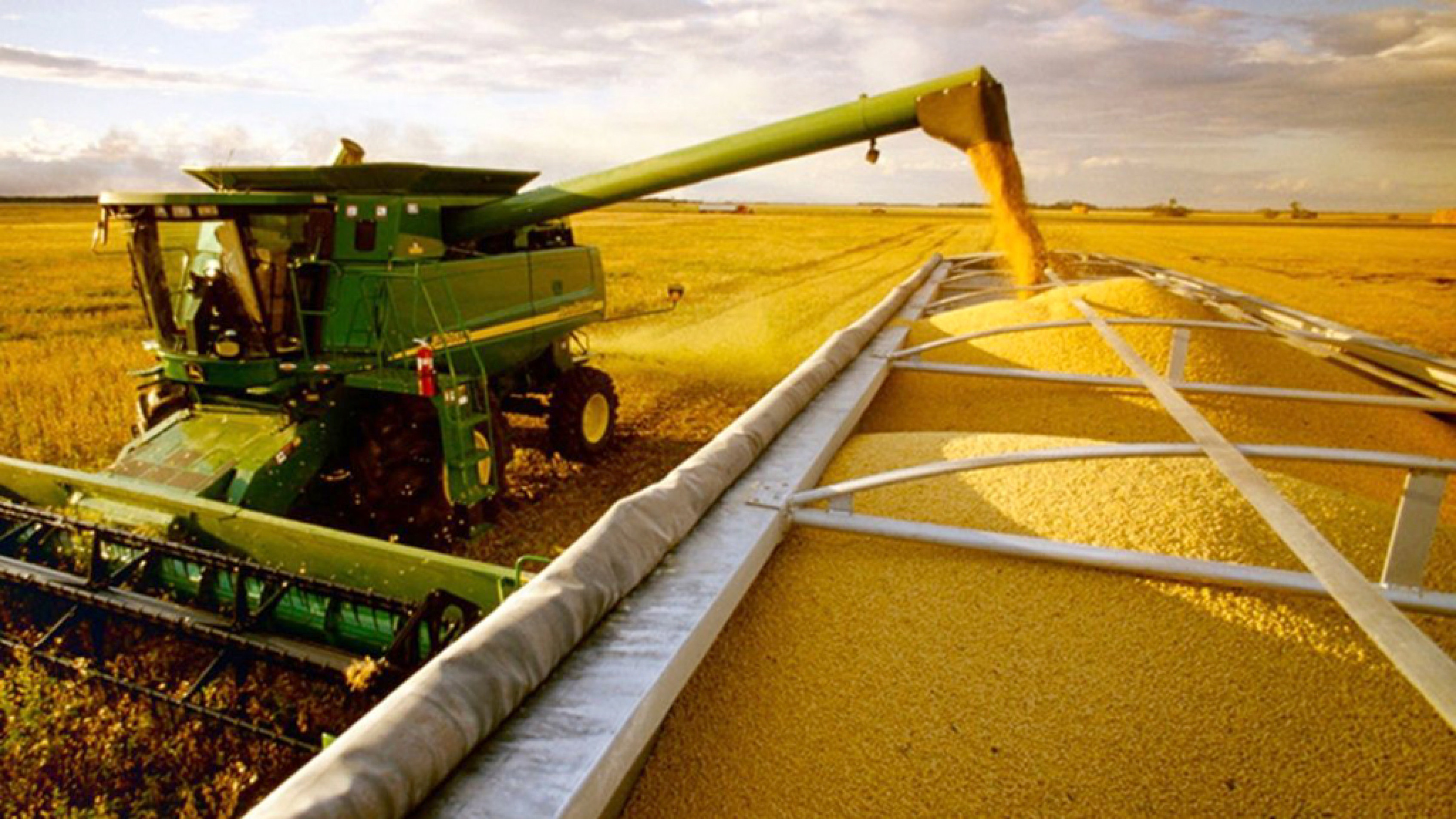 Alta prevista na produção de soja é de 13,9%
