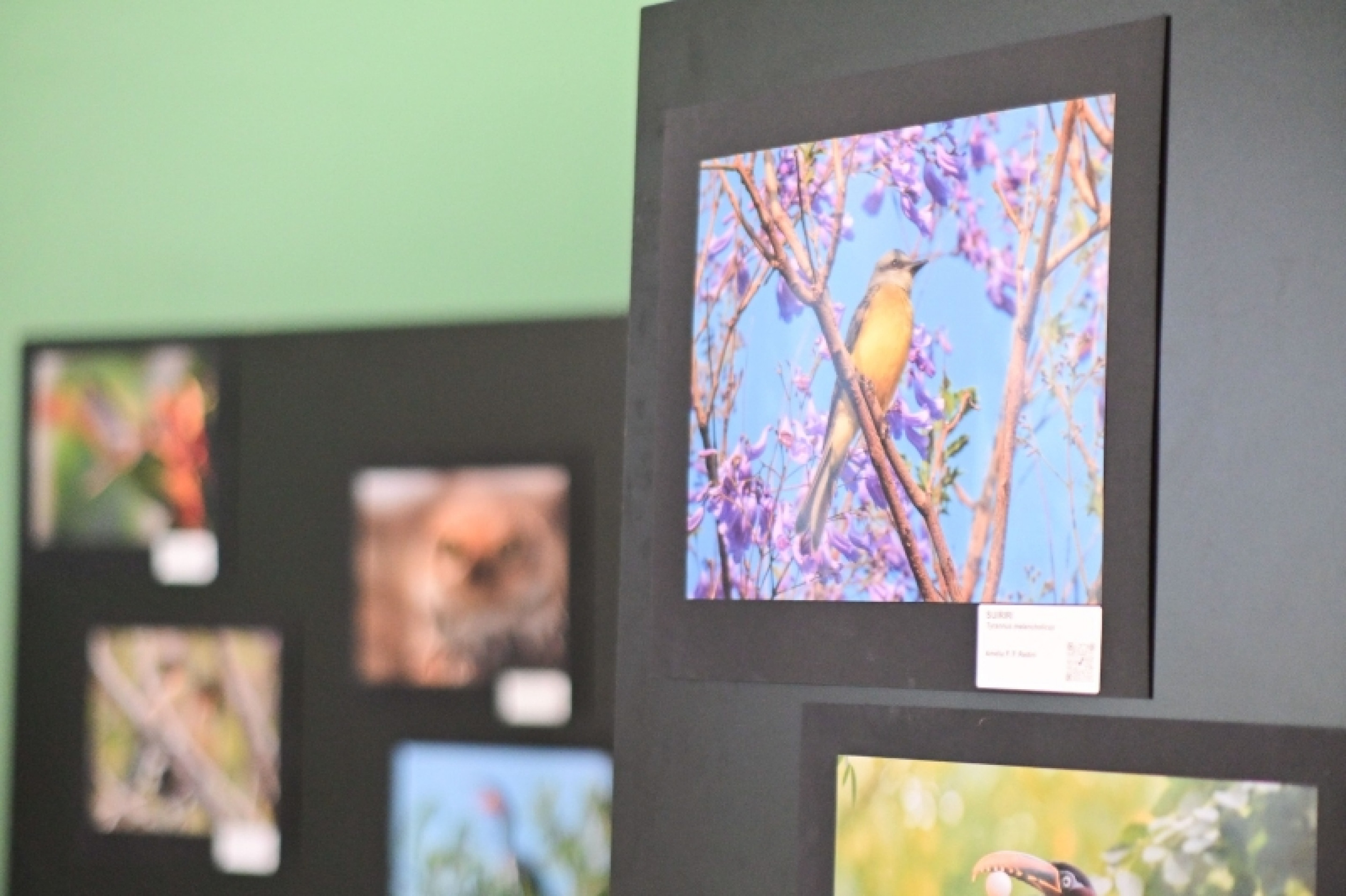 Exposição está disponível no Centro Cultural Piedadense (CCP) até o dia 31 de julho