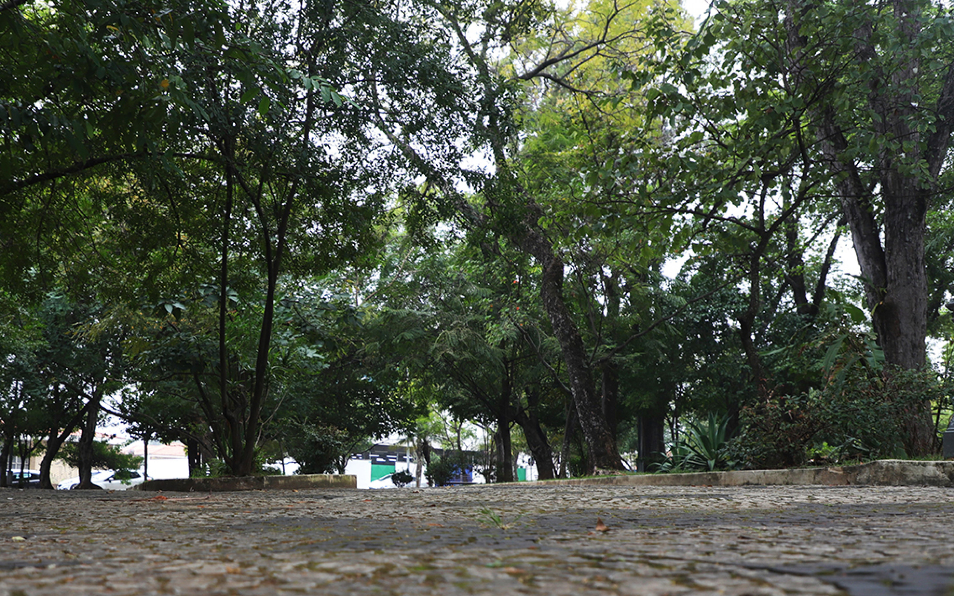 Contratos foram divididos em três lotes, com vigência prevista de um ano
