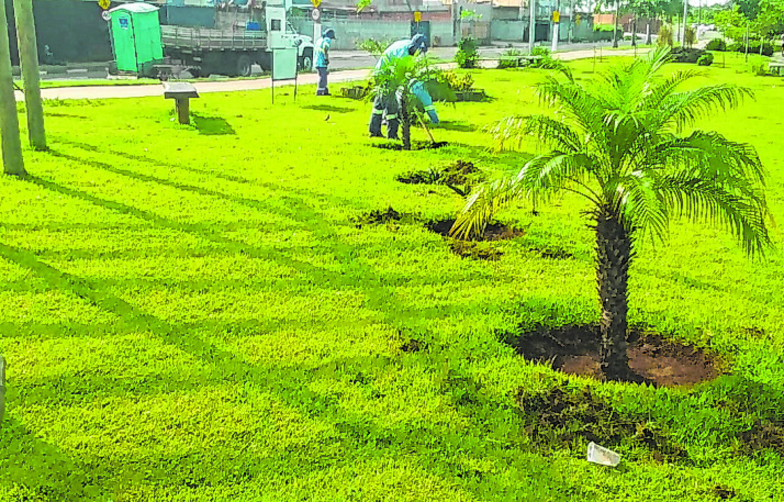 Empresas são responsáveis pela manutenção paisagística de áreas públicas da cidade