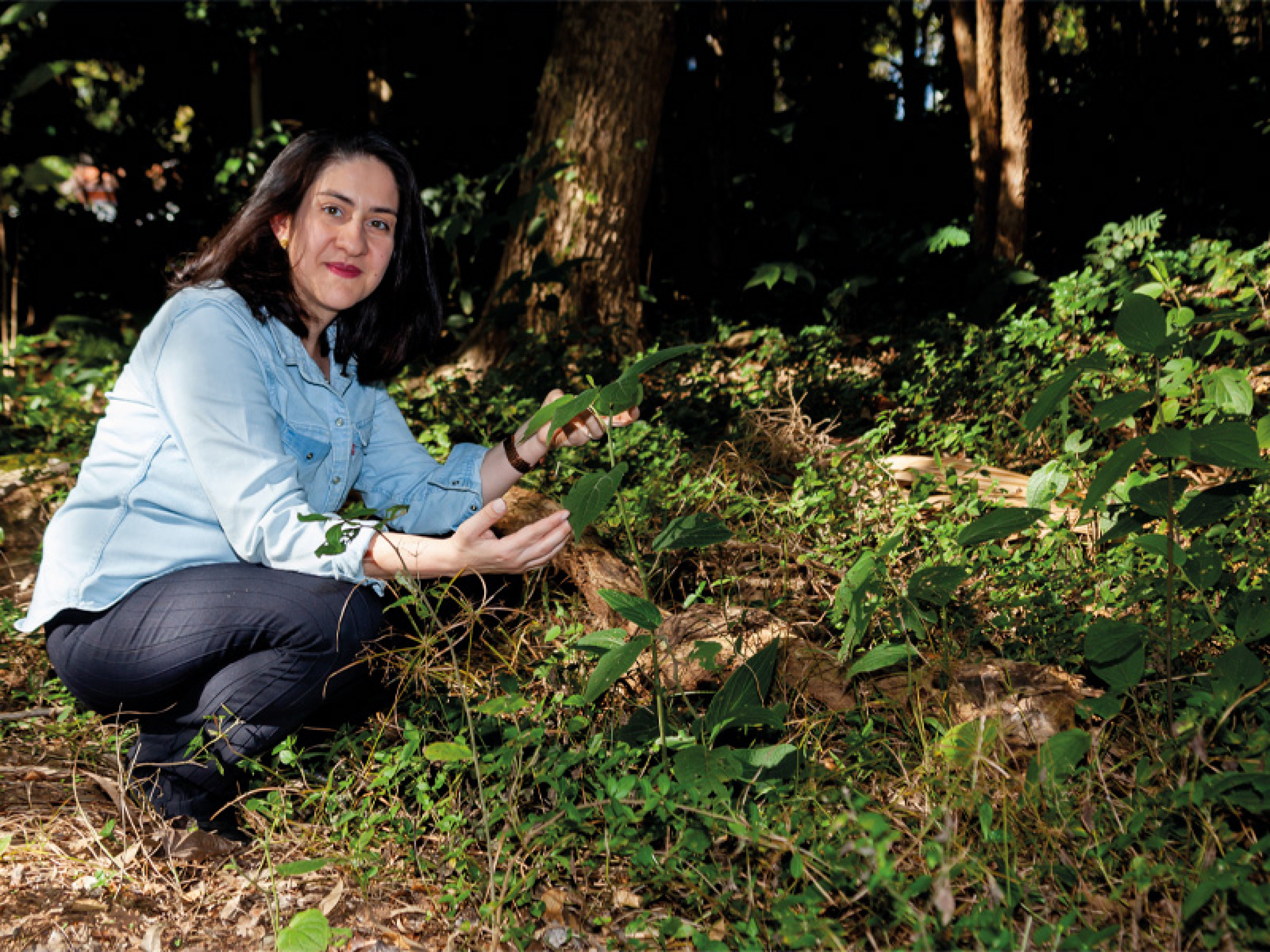 O foco das pesquisas da professora doutora Manuella N. Dourado está nos microrganismos que habitam a filosfera, ou, em outras palavras, a superfície e o interior dos tecidos vegetais