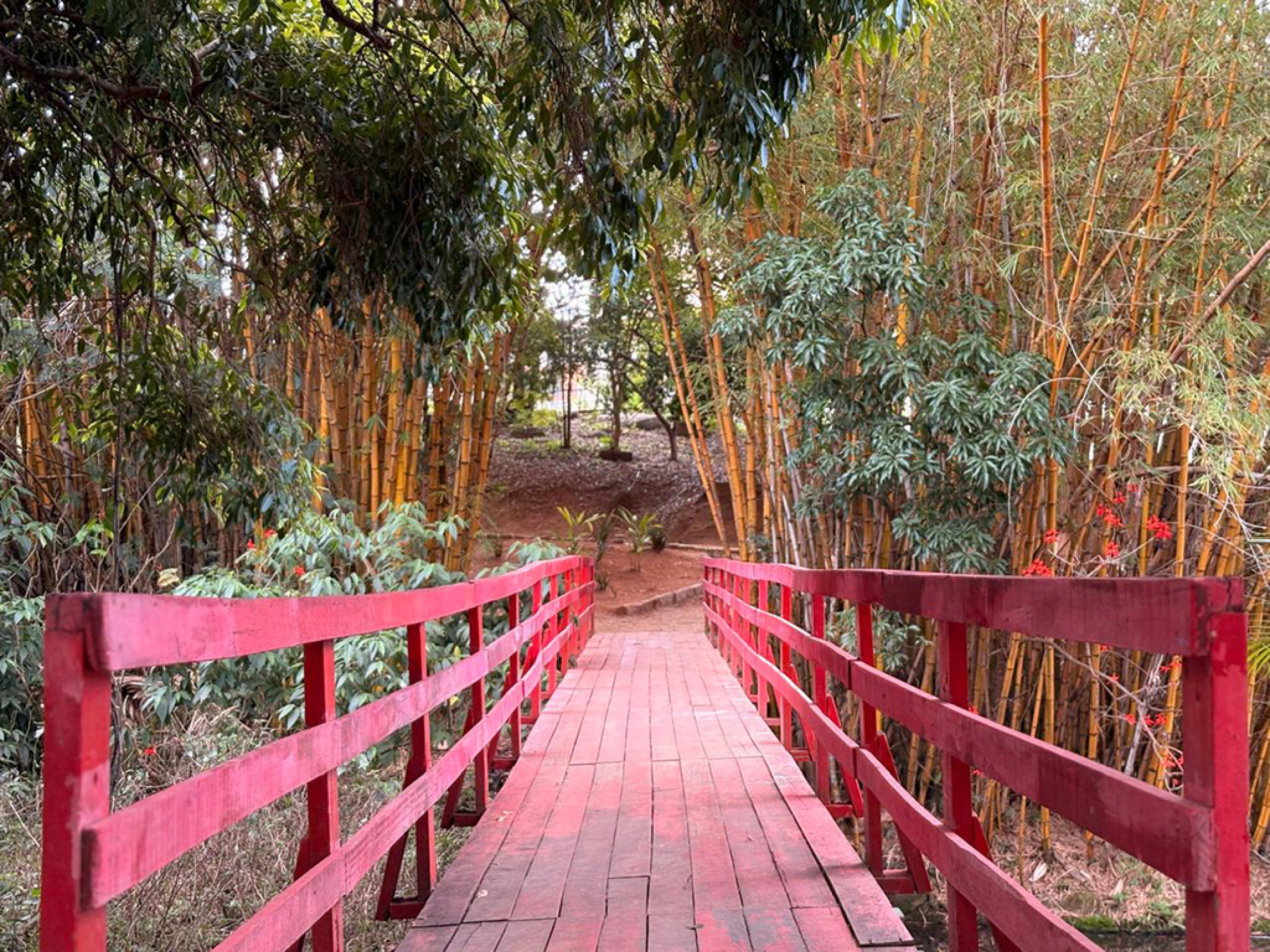 Cercado por árvores e lagos, o Parque da Água Vermelha é ideal para brincadeiras ao ar livre