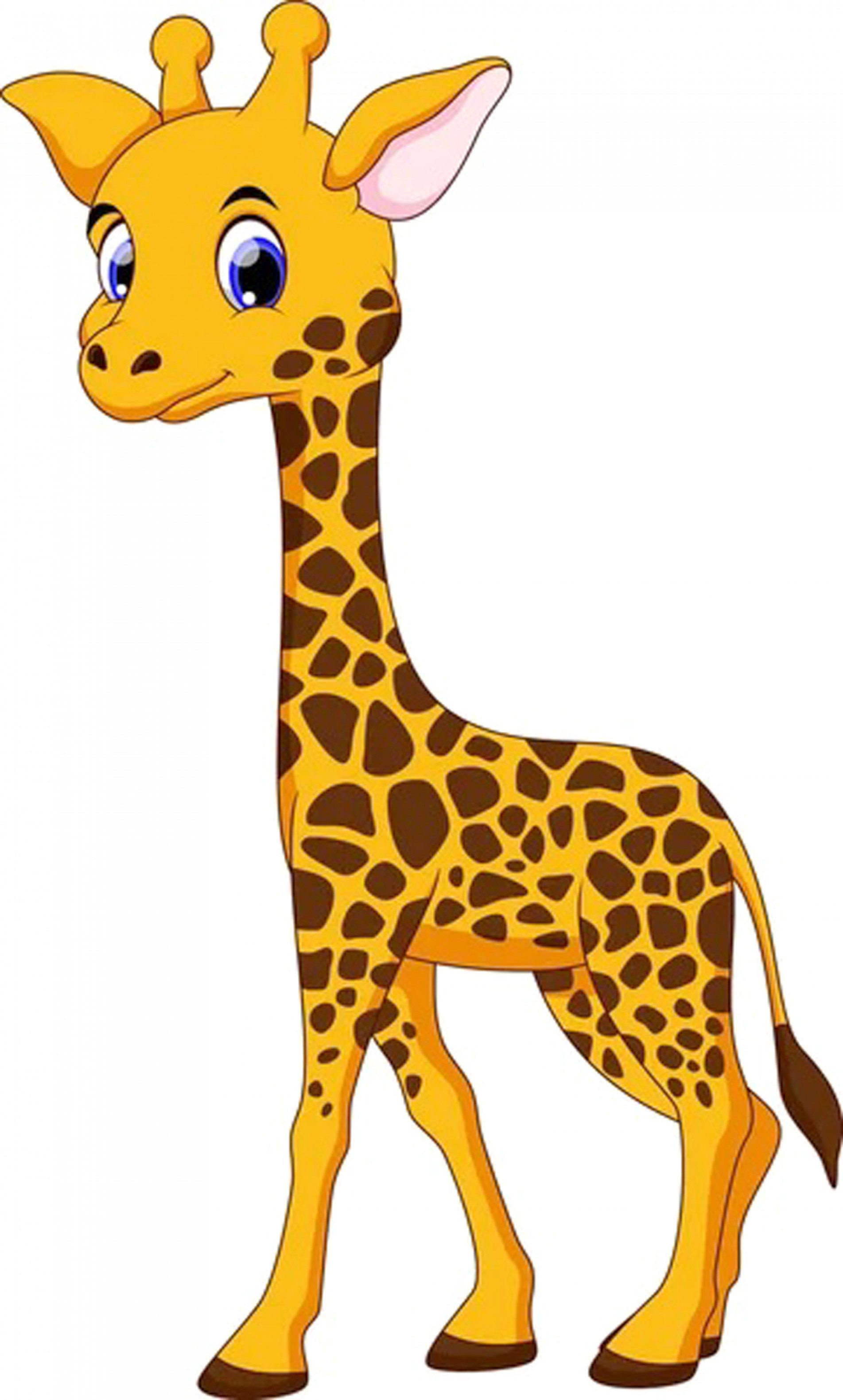 Para fugir rápido dos predadores, as girafas descansam sentadas ou até mesmo em pé, evitando ficar no chão por muito tempo
