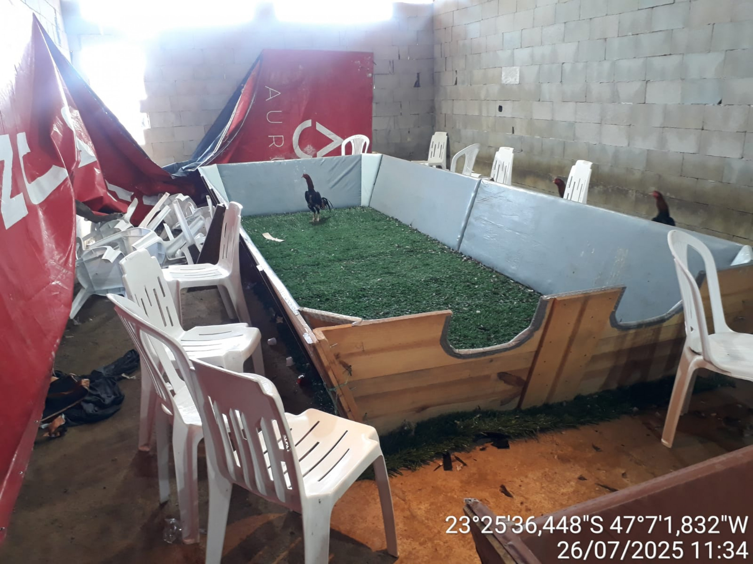 A rinha acontecia em uma propriedade no bairro Ronda, em Araçariguama