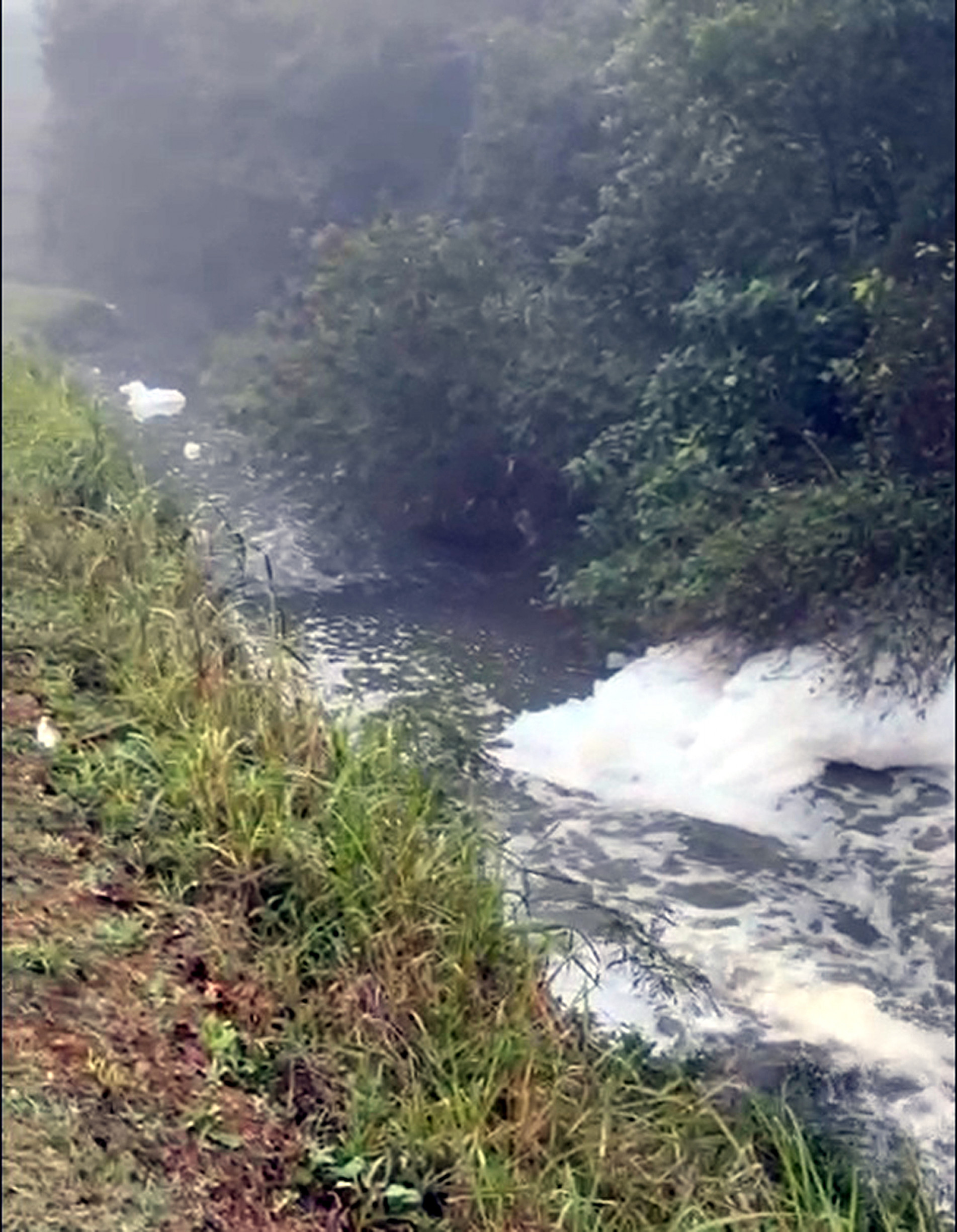 Laudo técnico está em elaboração: 
qualidade da água alterada