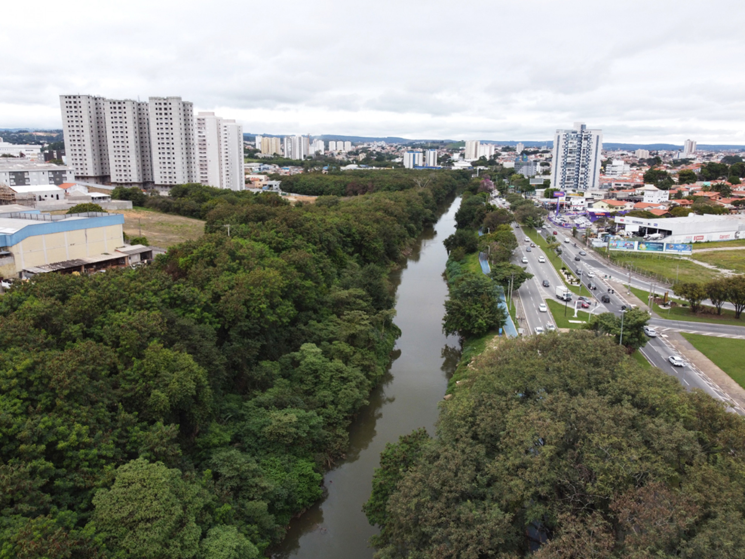 Traçado de nova avenida passa por área de mata ciliar
