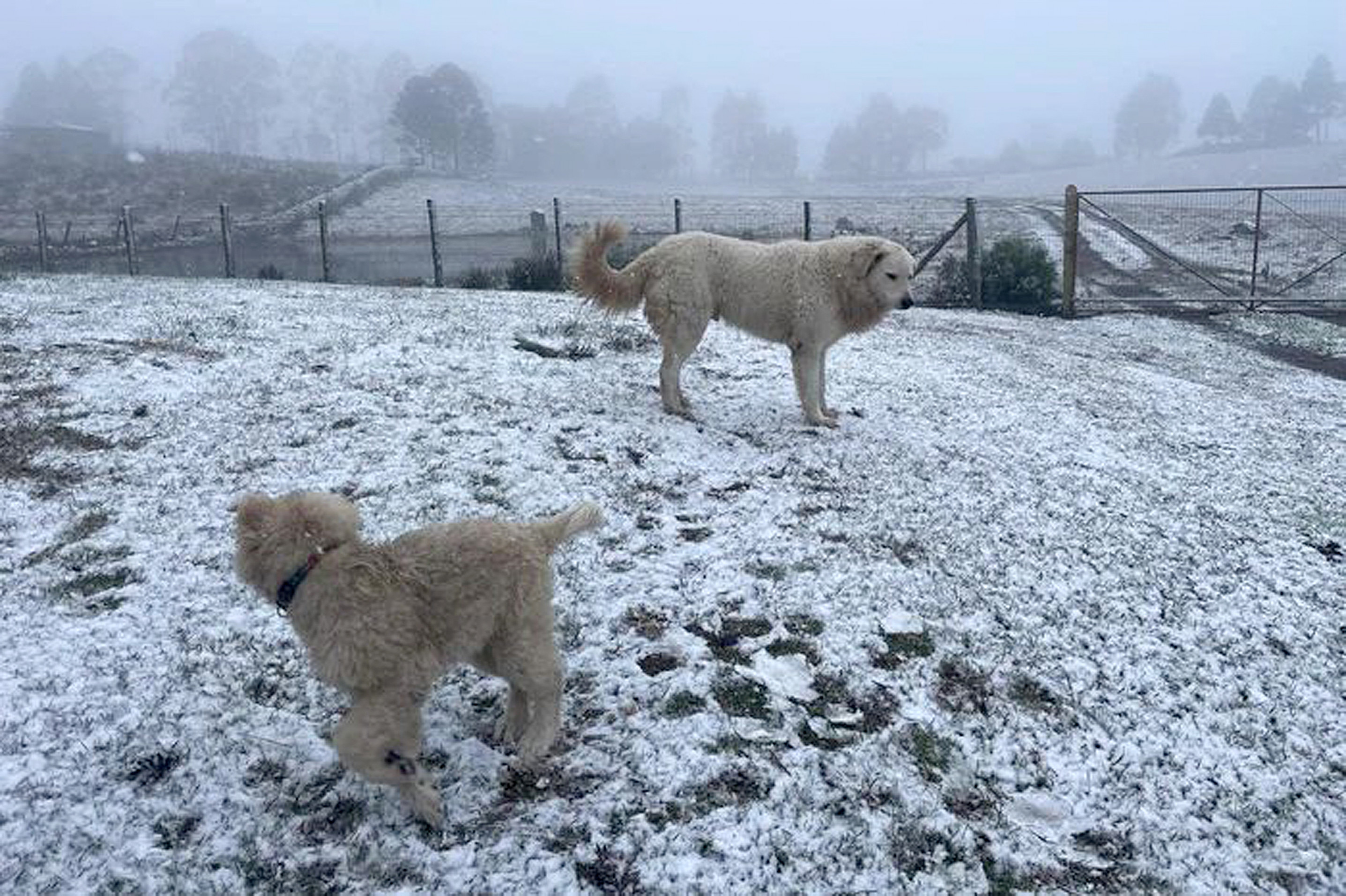 Paisagem foi tomada de branco em São José dos Ausentes
