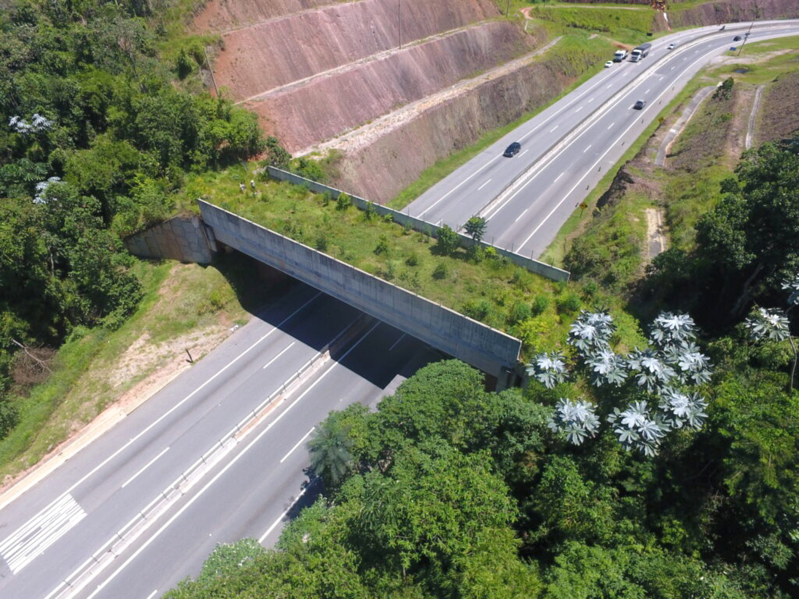 Já foram emitidas documentações válidas para 6.430 quilômetros de vias sob concessão estadual
