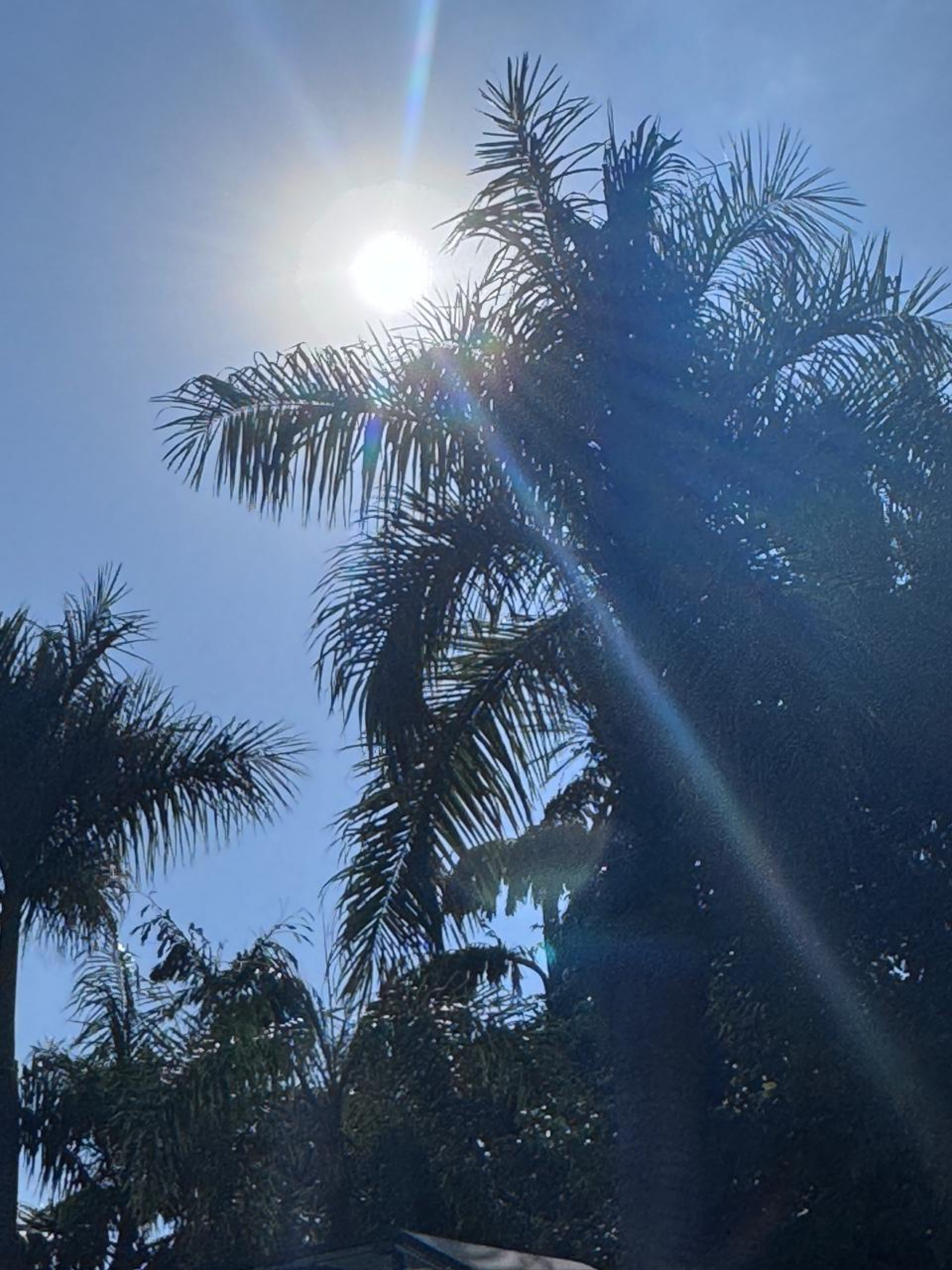 Este será o primeiro veranico do inverno 2025