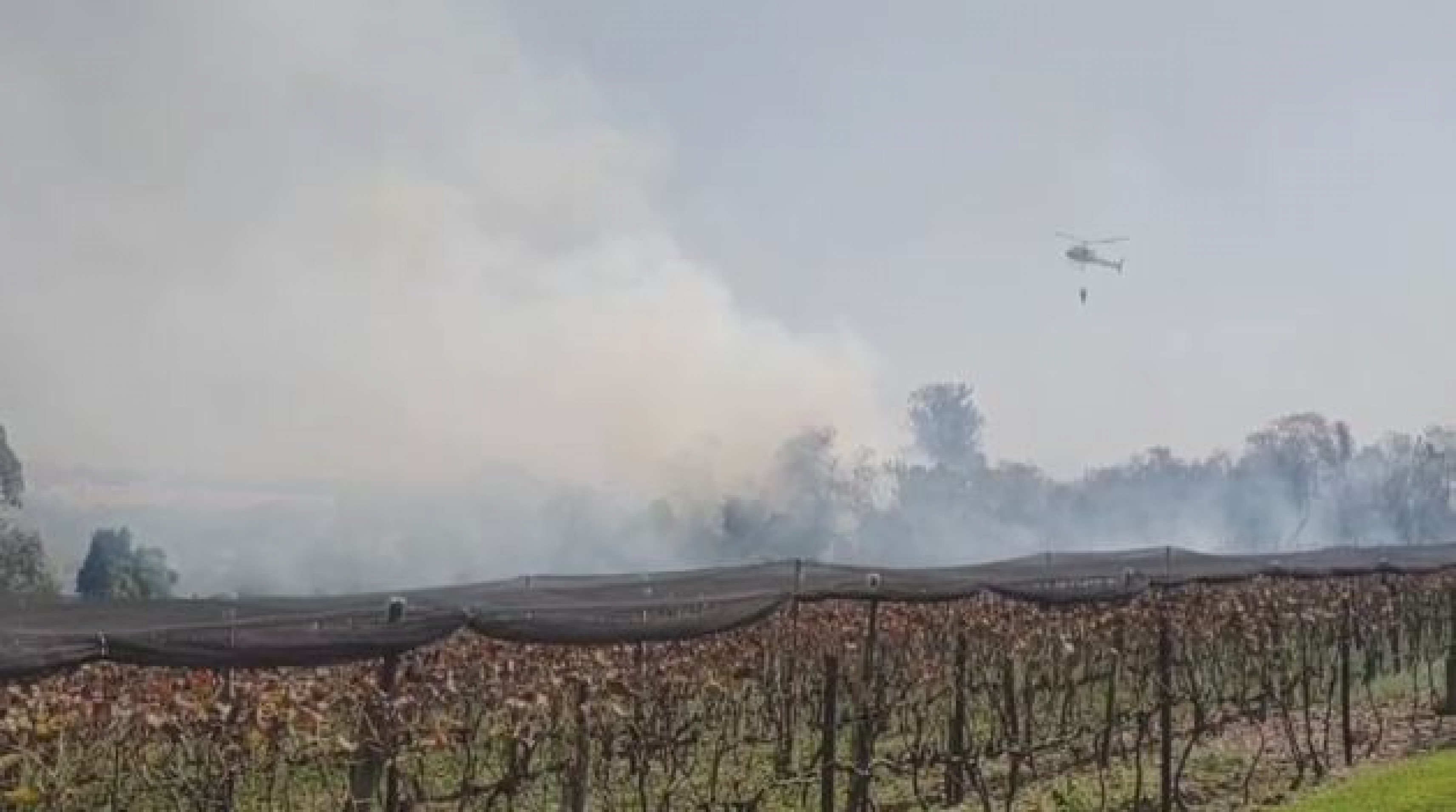 Enquanto o Corpo de Bombeiros fazia o combate no chão, o helicóptero Águia jogava água pelos ares