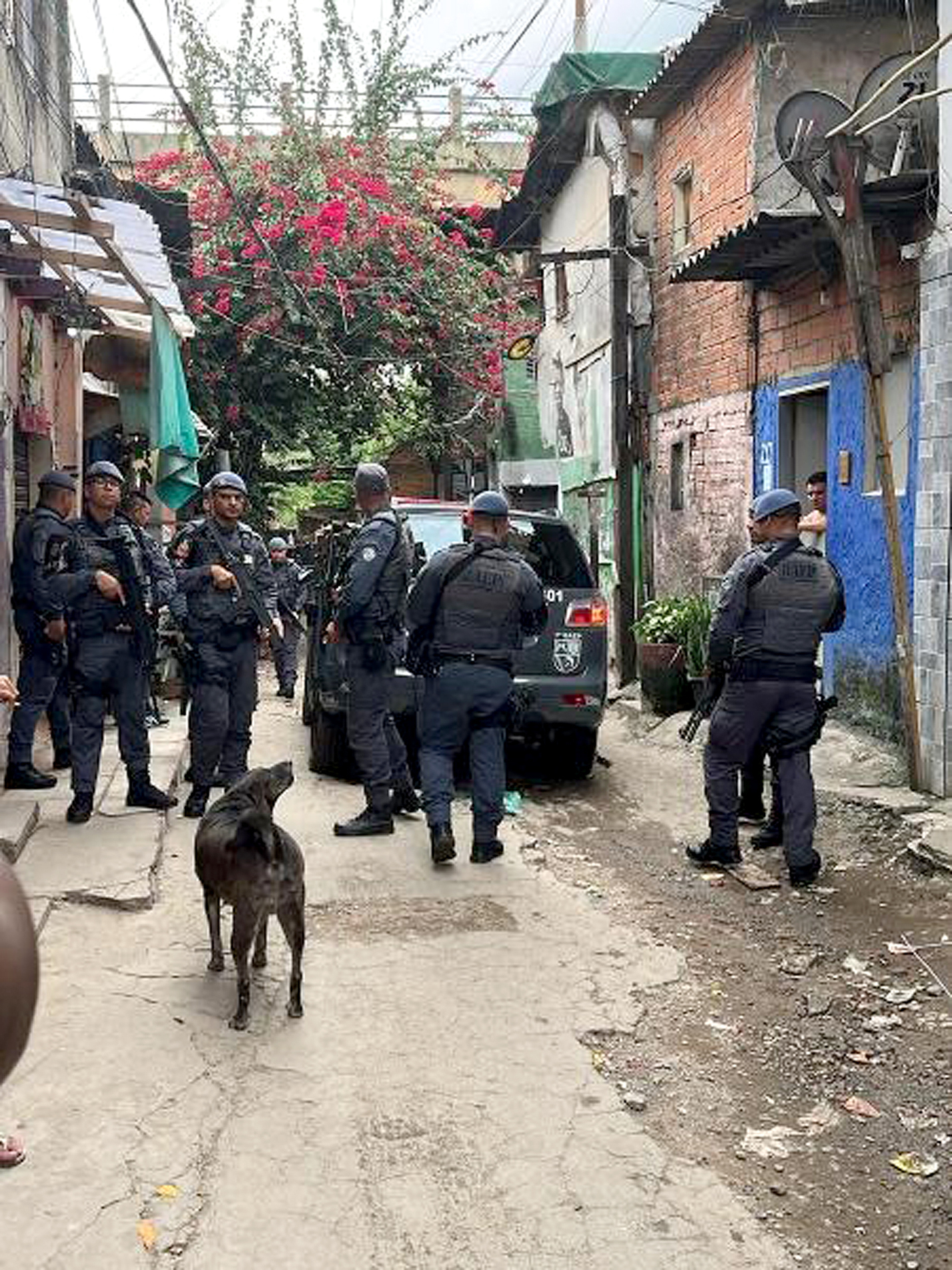 PM cumpriu mandados
de prisão no centro de SP
