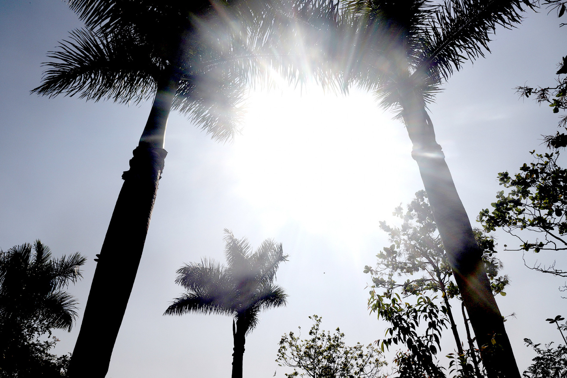 Calor marca o fim do inverno, neste mês. Estação teve grandes variações de temperatura, inclusive com veranicos
