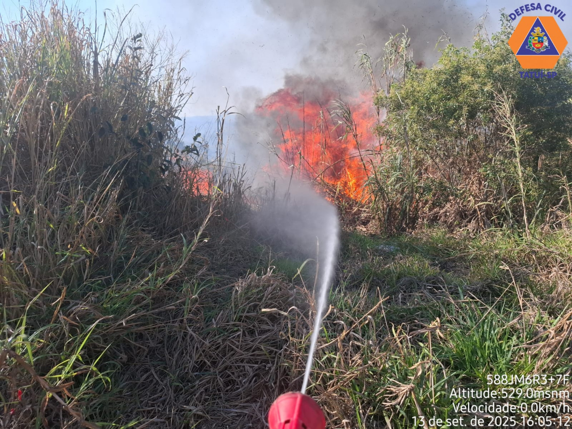 Incêndio em vegetação cultivada (canavial)