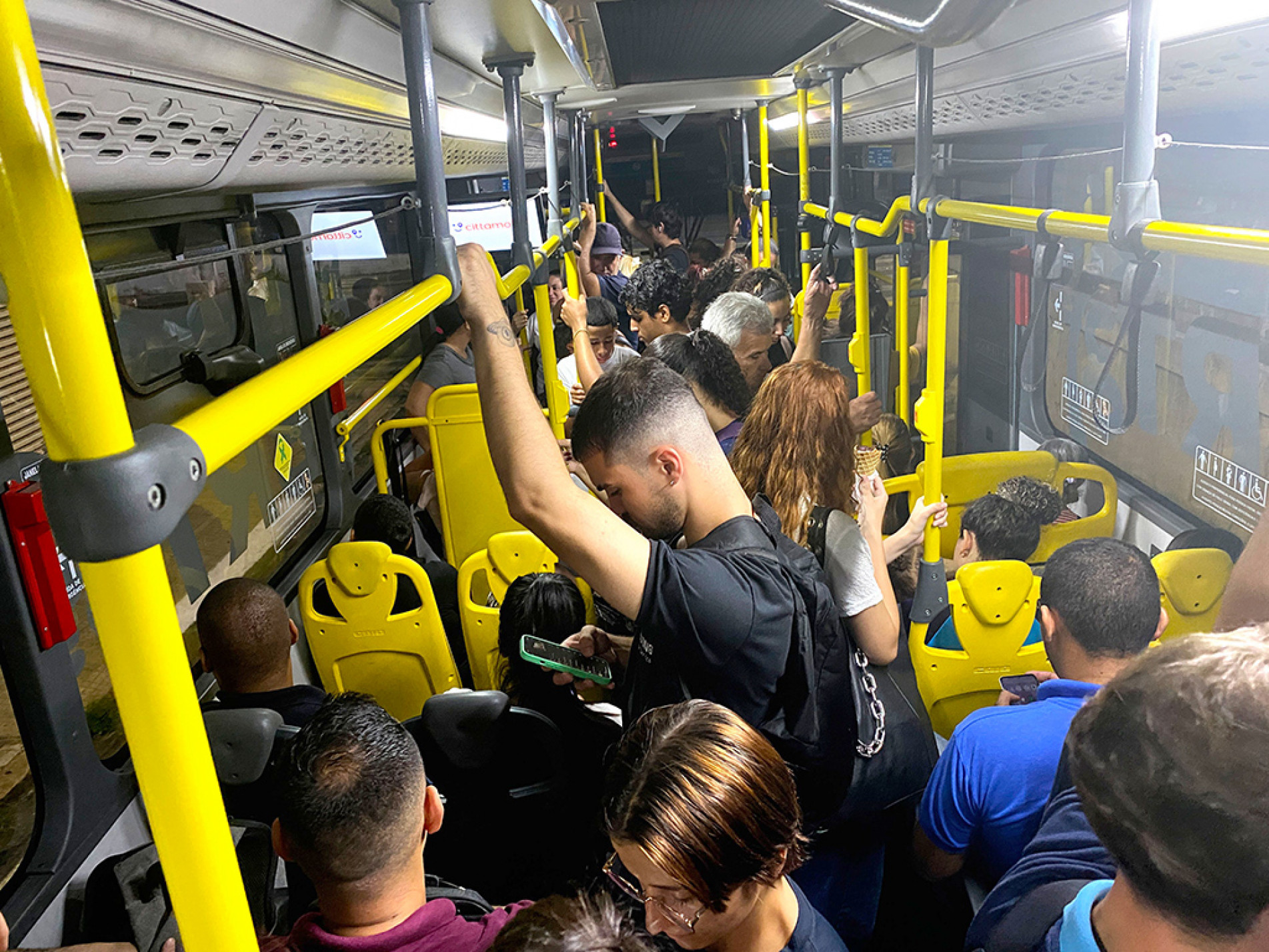 Consulta começa nesta semana e vai até 30 de setembro
