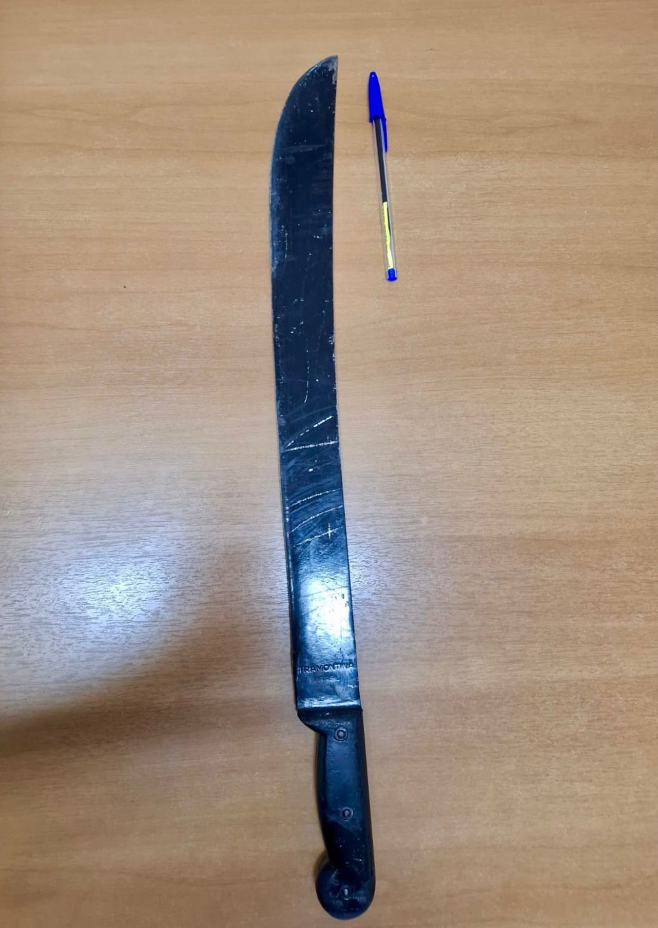 O flagrante foi lavrado e solicitadas medidas protetivas de urgência em favor das vítimas