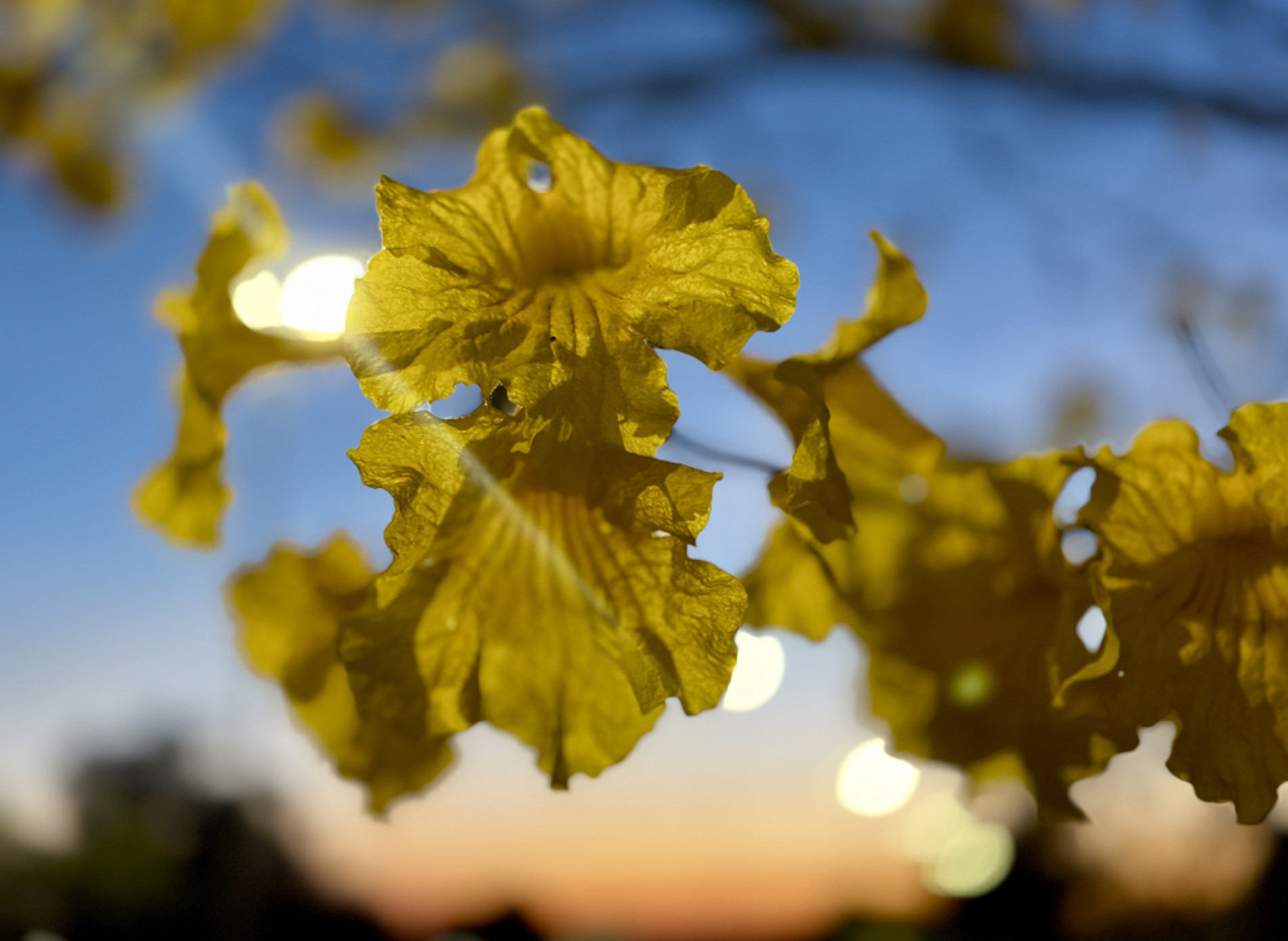 Nova estação favorece a retomada das atividades ao ar livre
